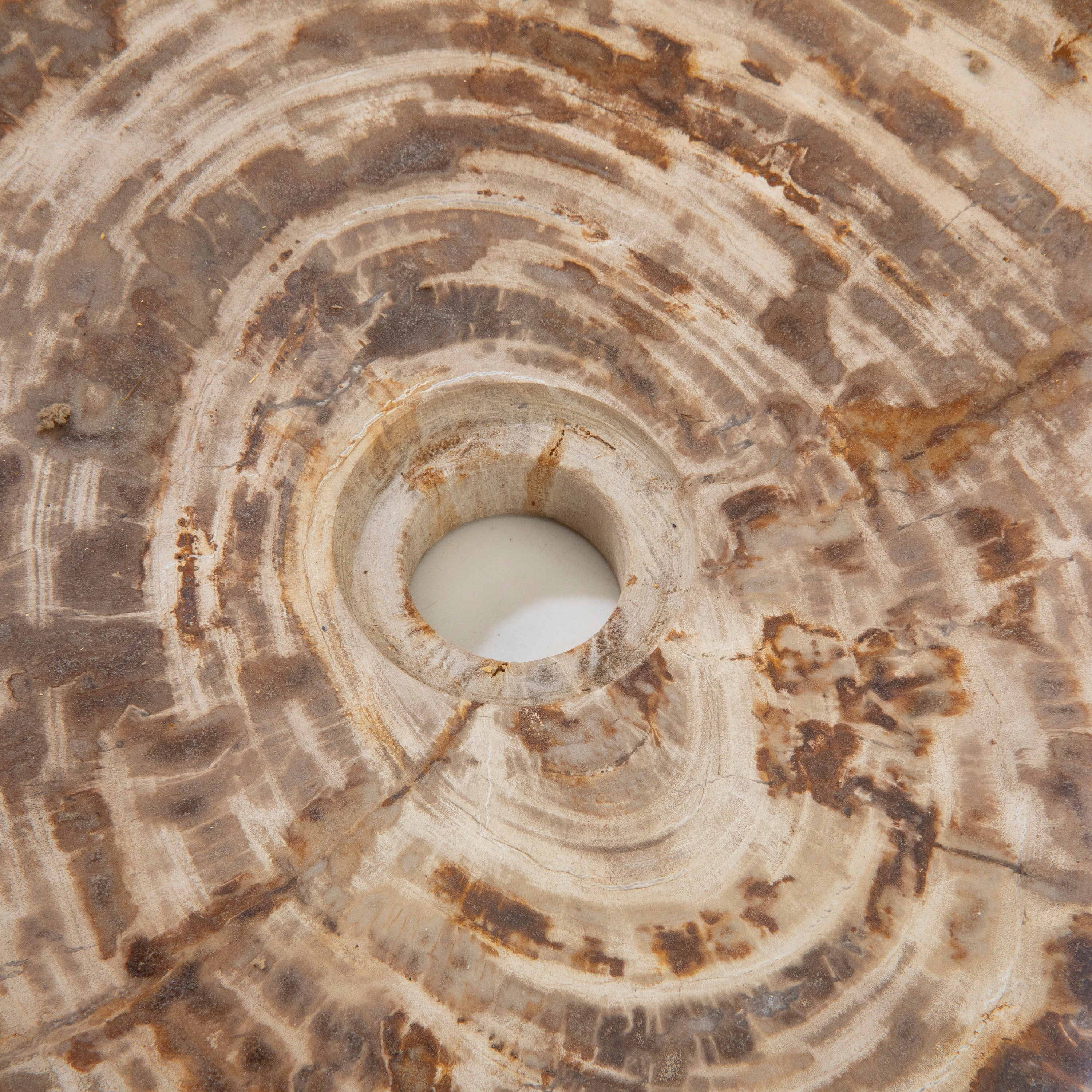 22" Brown Petrified Wood Sink Bowl