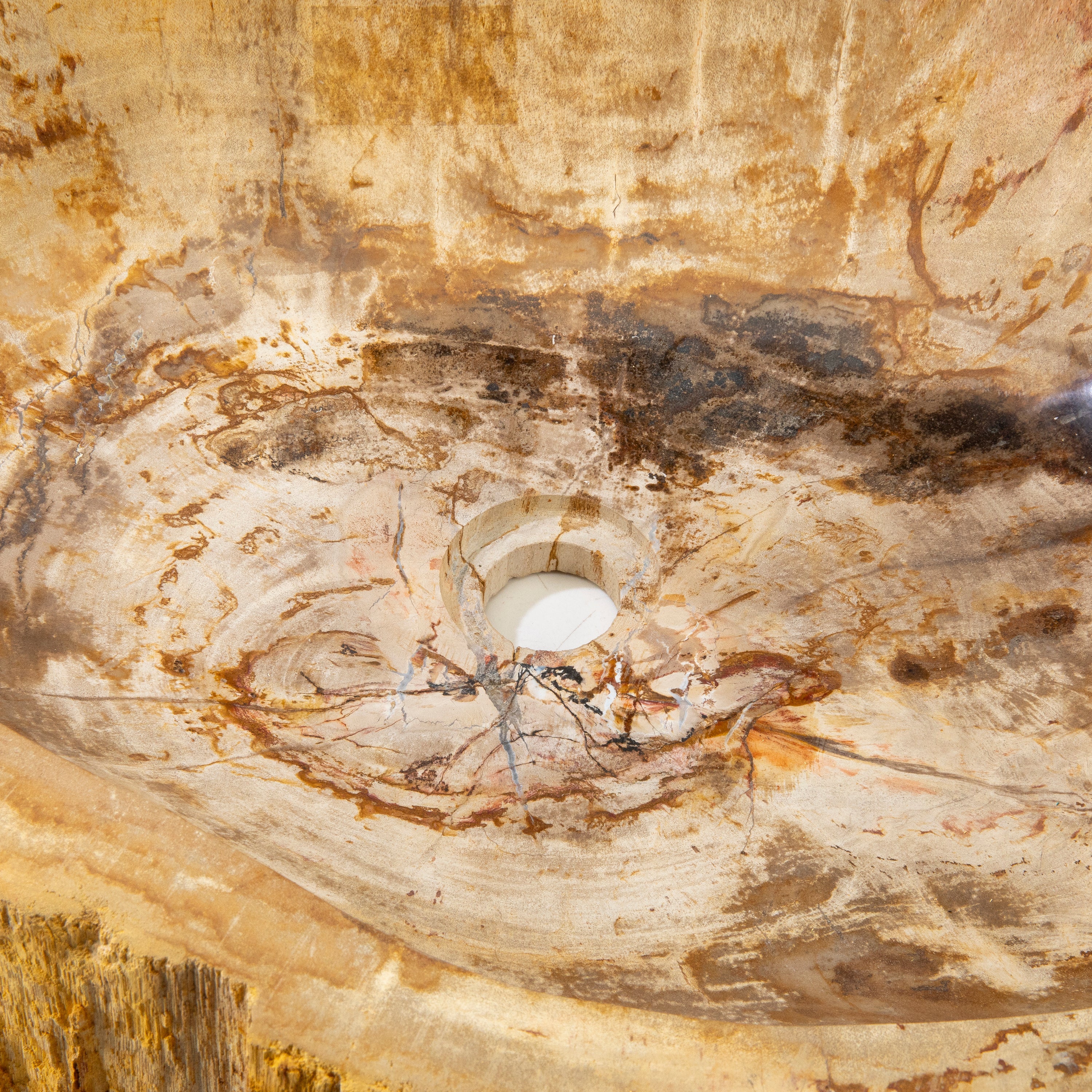 22" Brown Petrified Wood Sink Bowl