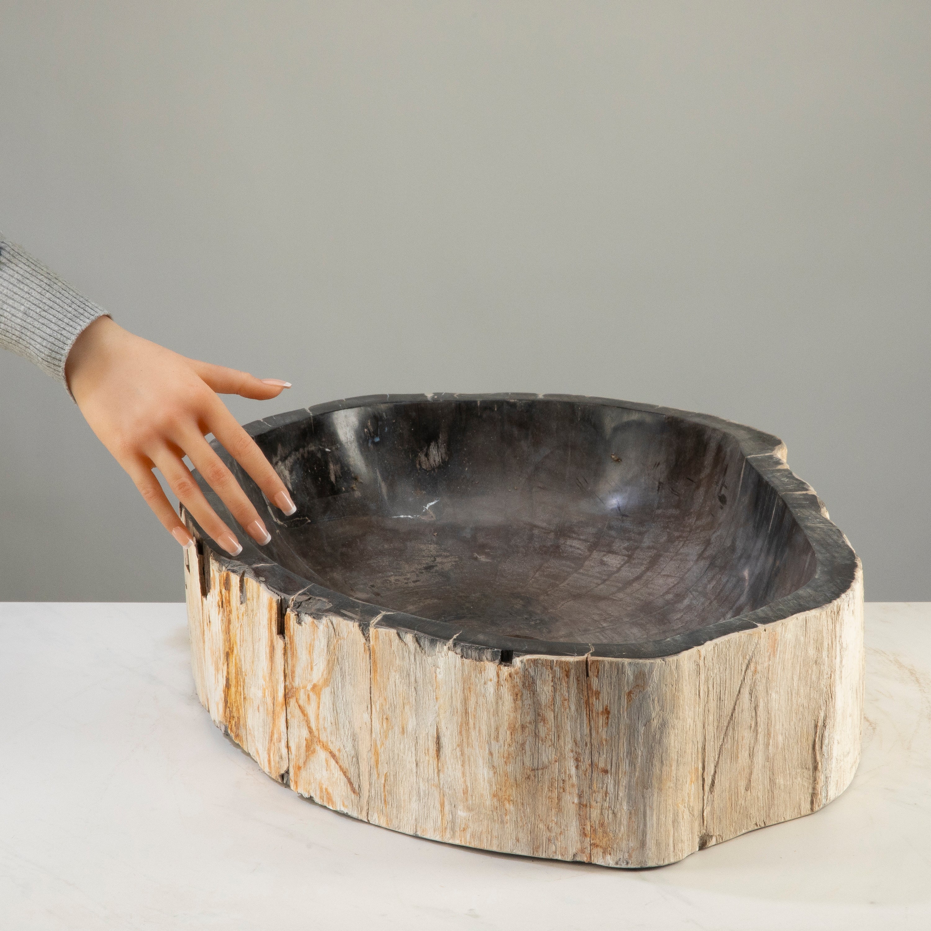 25" Black Petrified Wood Sink Bowl