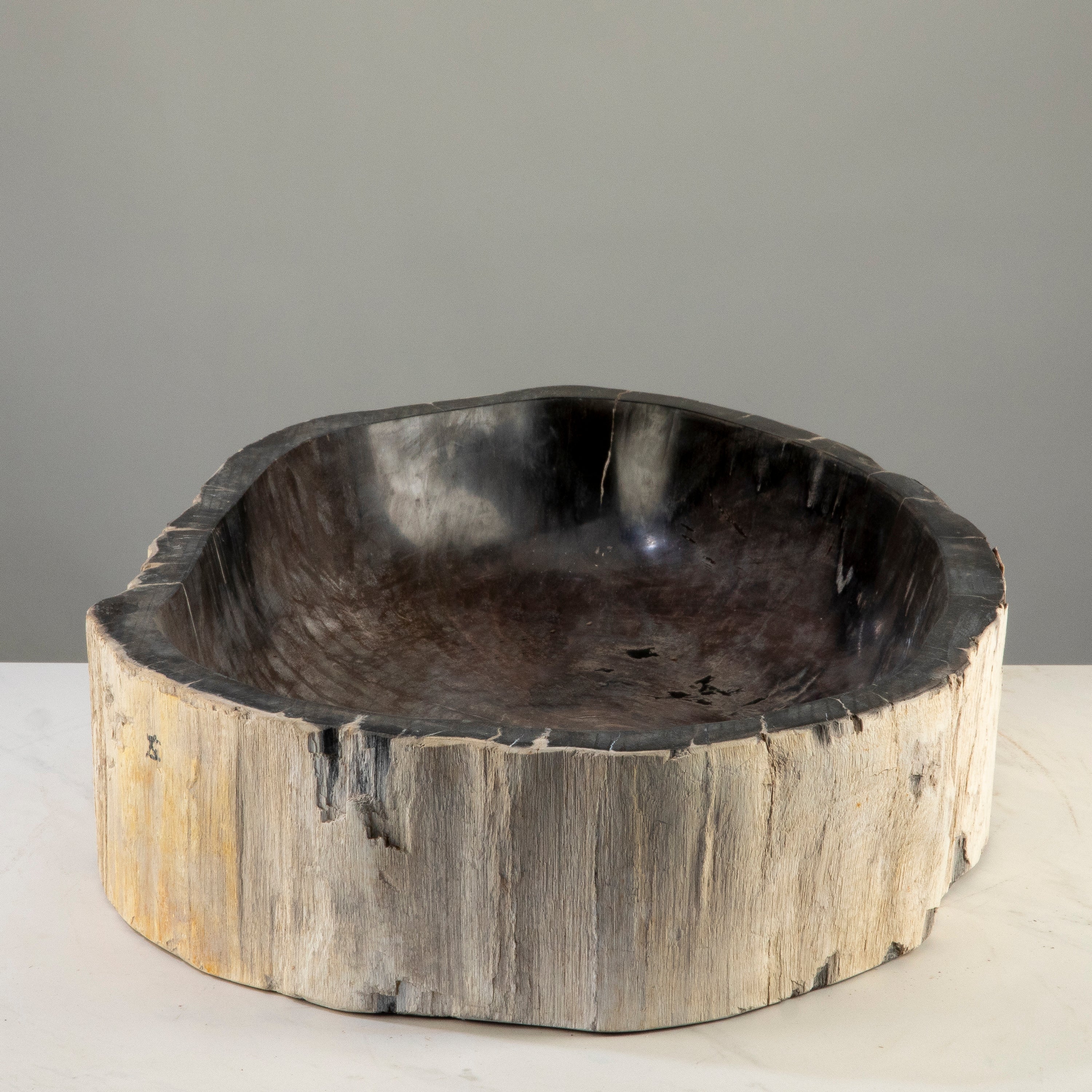 25" Black Petrified Wood Sink Bowl