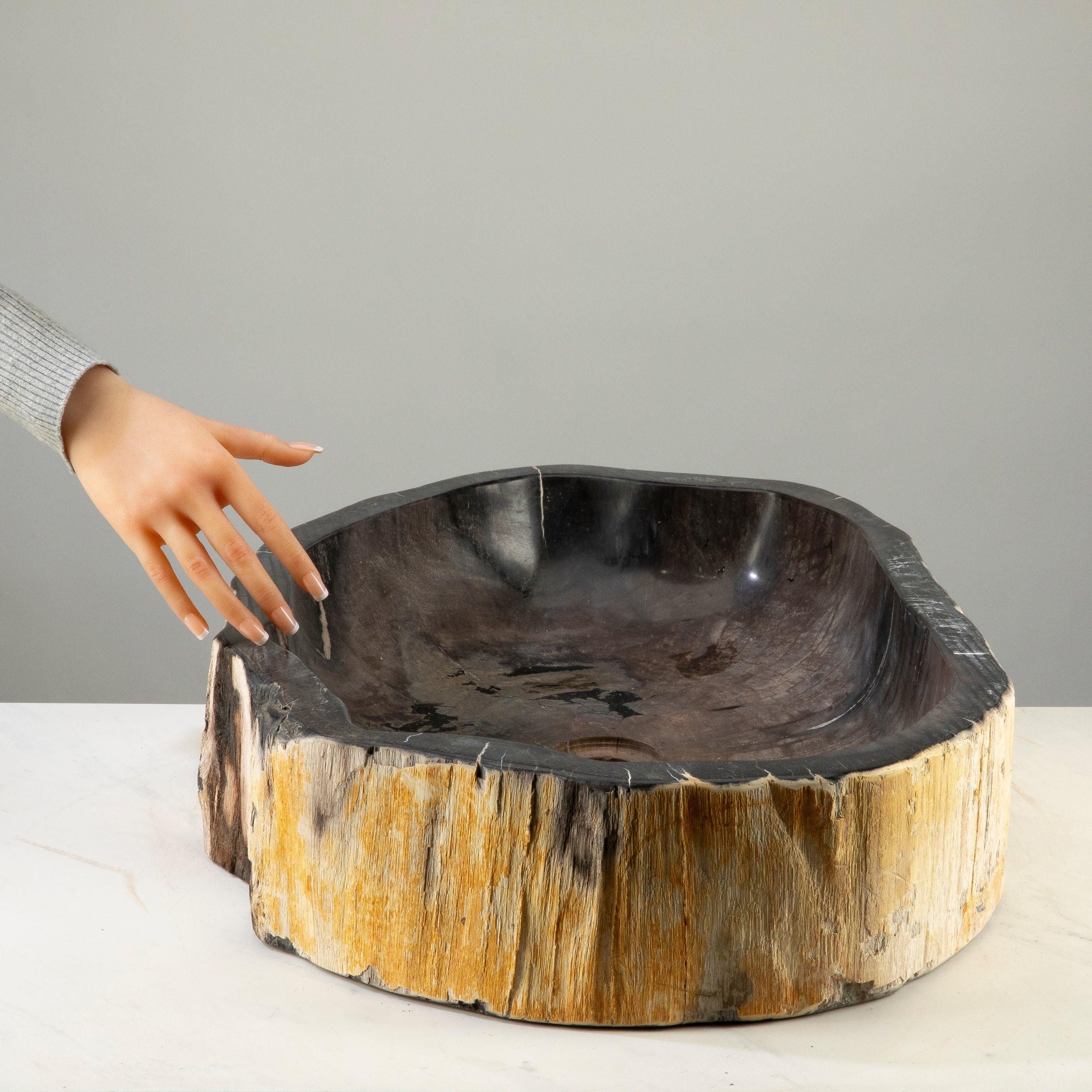 25" Black Petrified Wood Sink Bowl