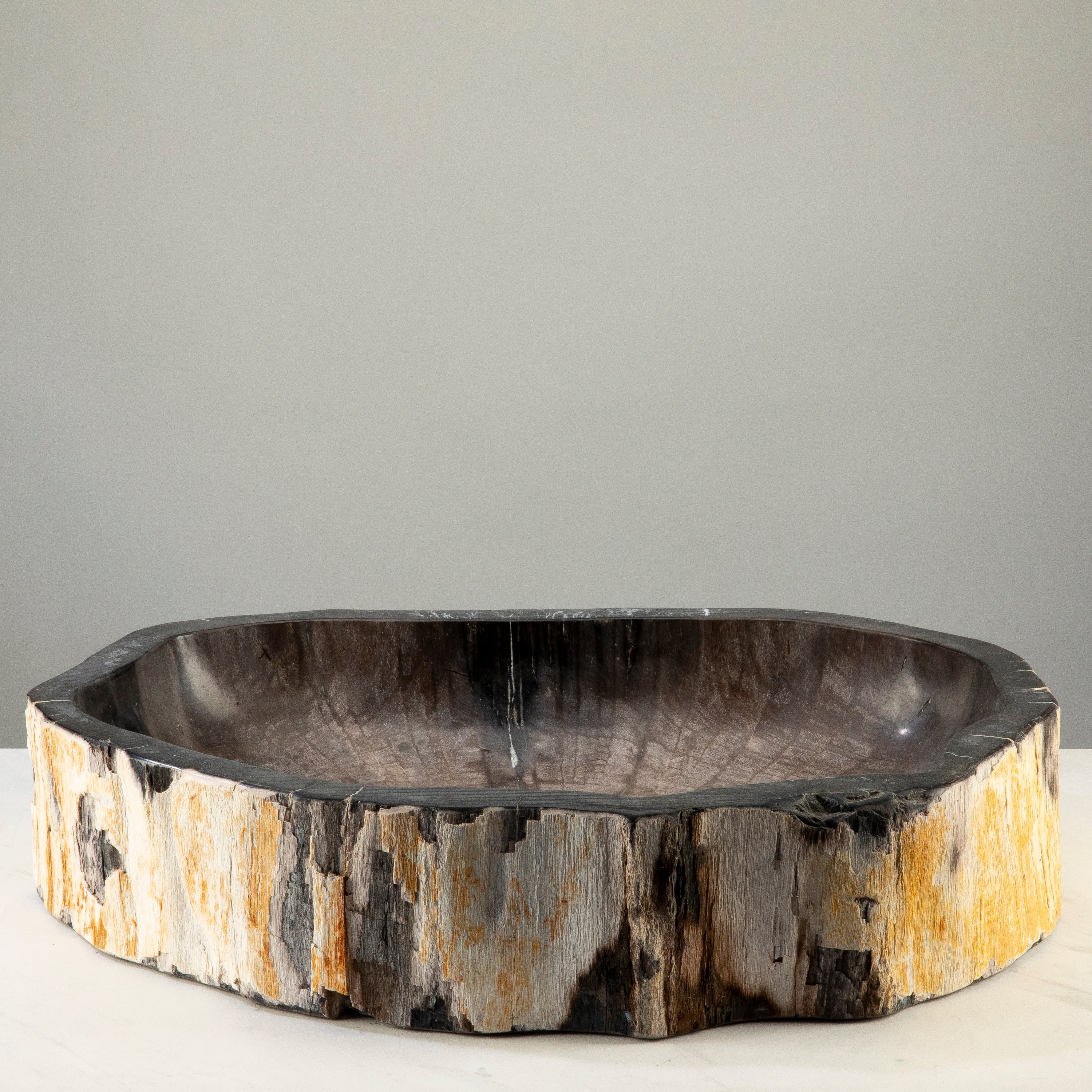 25" Black Petrified Wood Sink Bowl