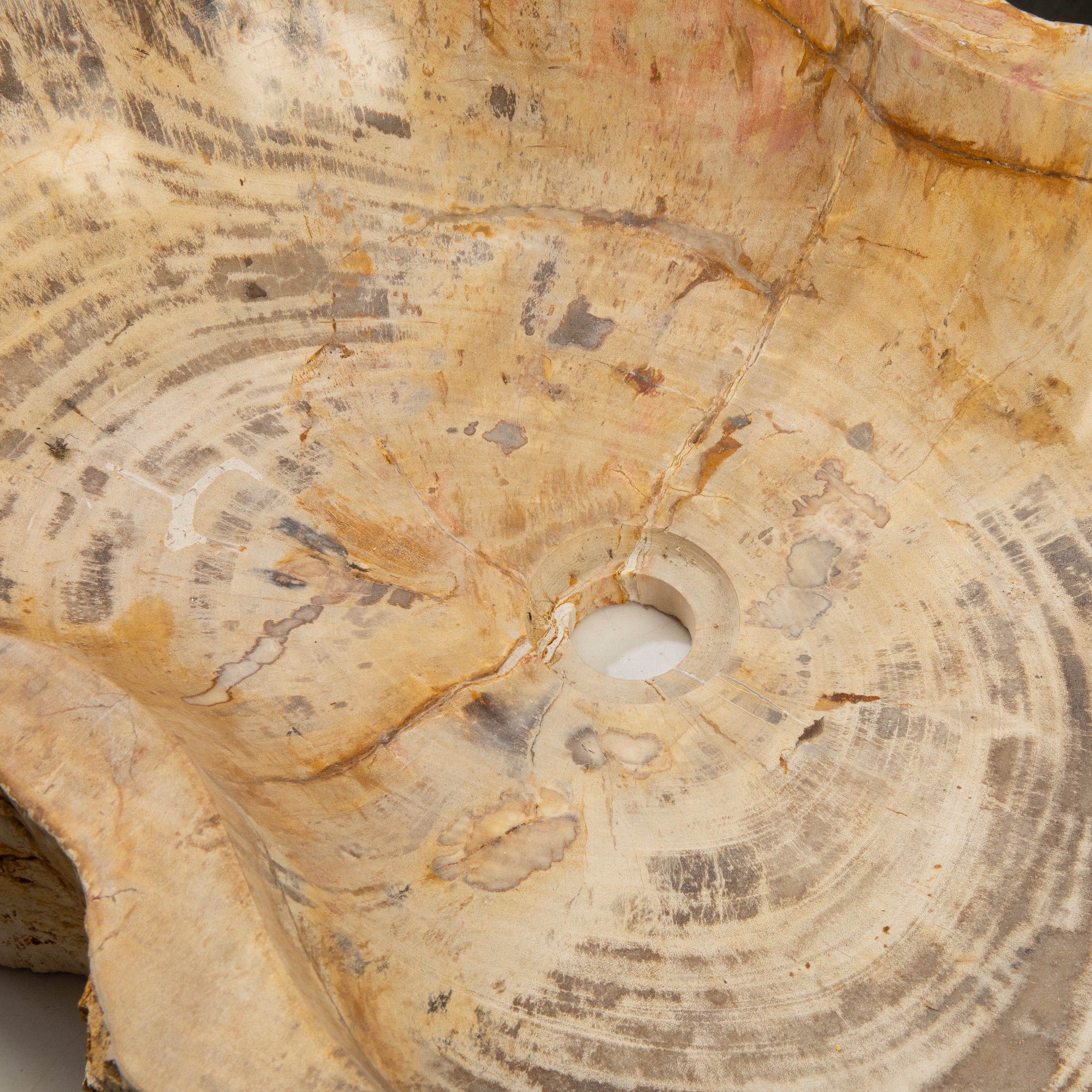 23" Brown Petrified Wood Sink Bowl