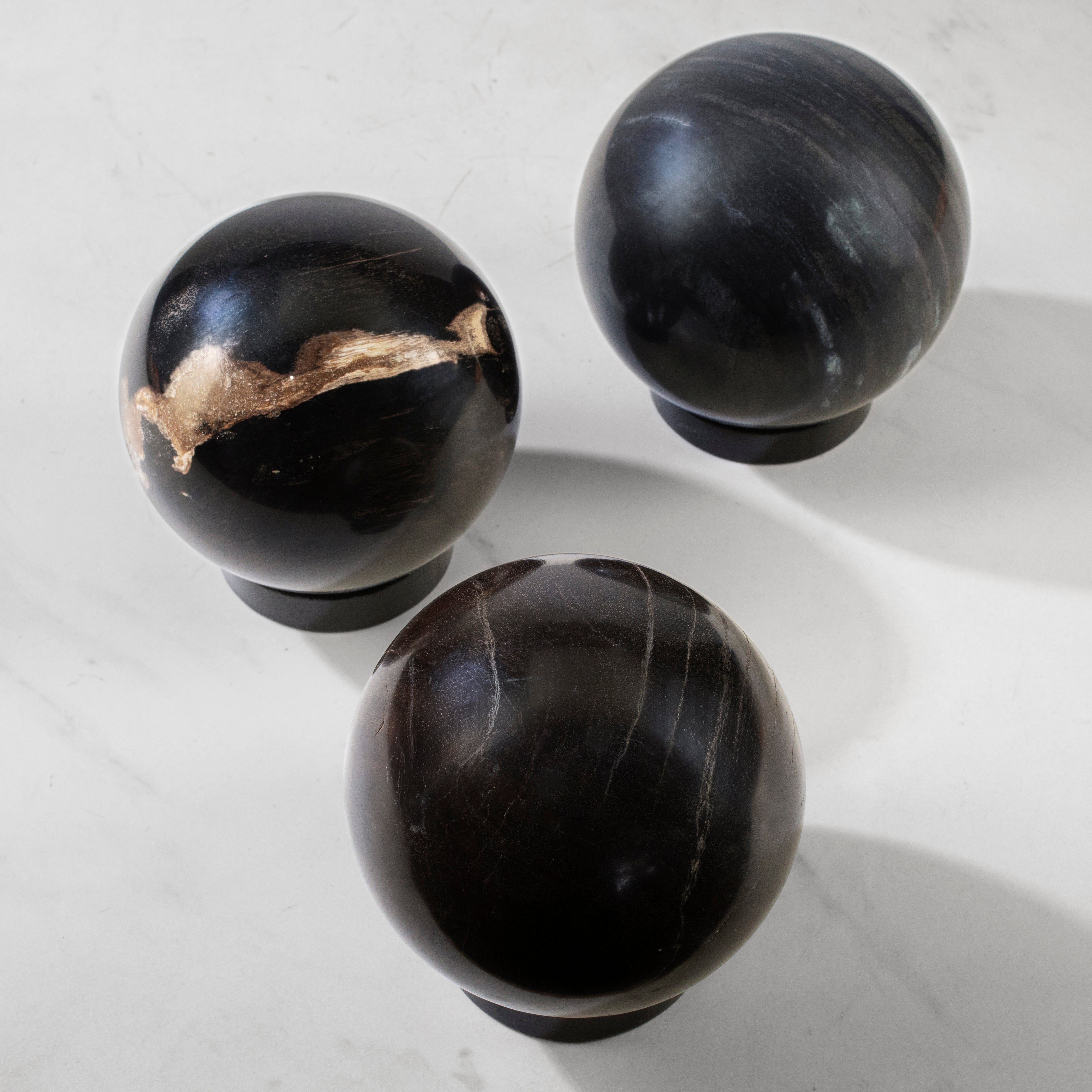 KALIFANO | Indonesian Petrified Wood Sphere - Natural Home Decor KALIFANO | Indonesian Petrified Wood Sphere - Natural Home Decor