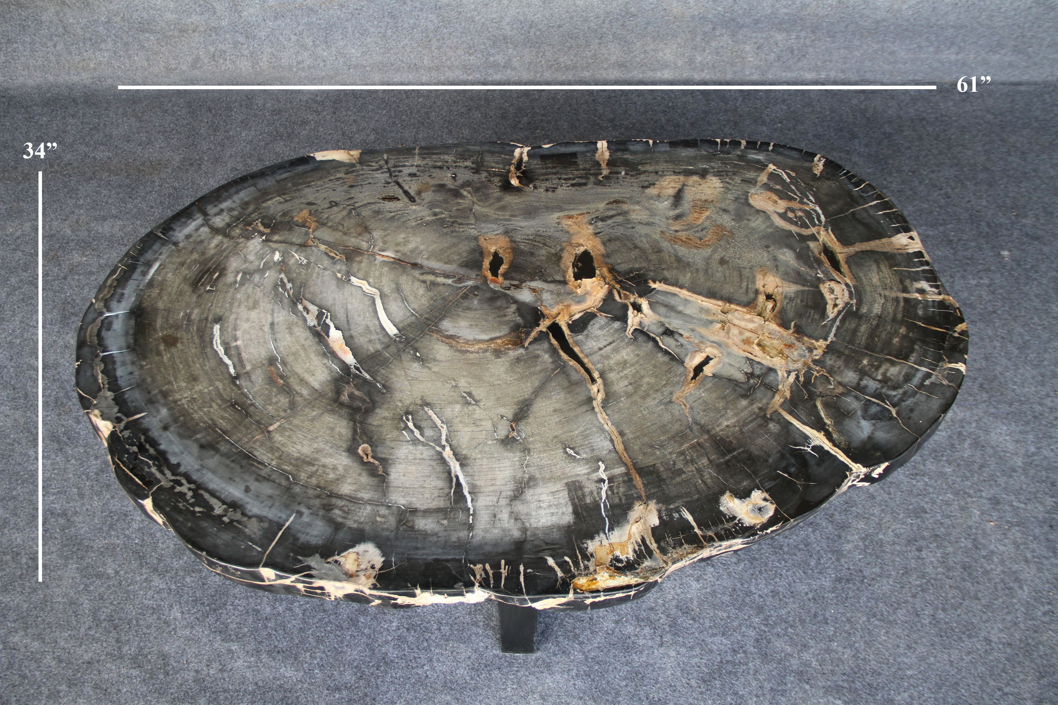 Petrified Wood Round Coffee 61" / 290 lbs