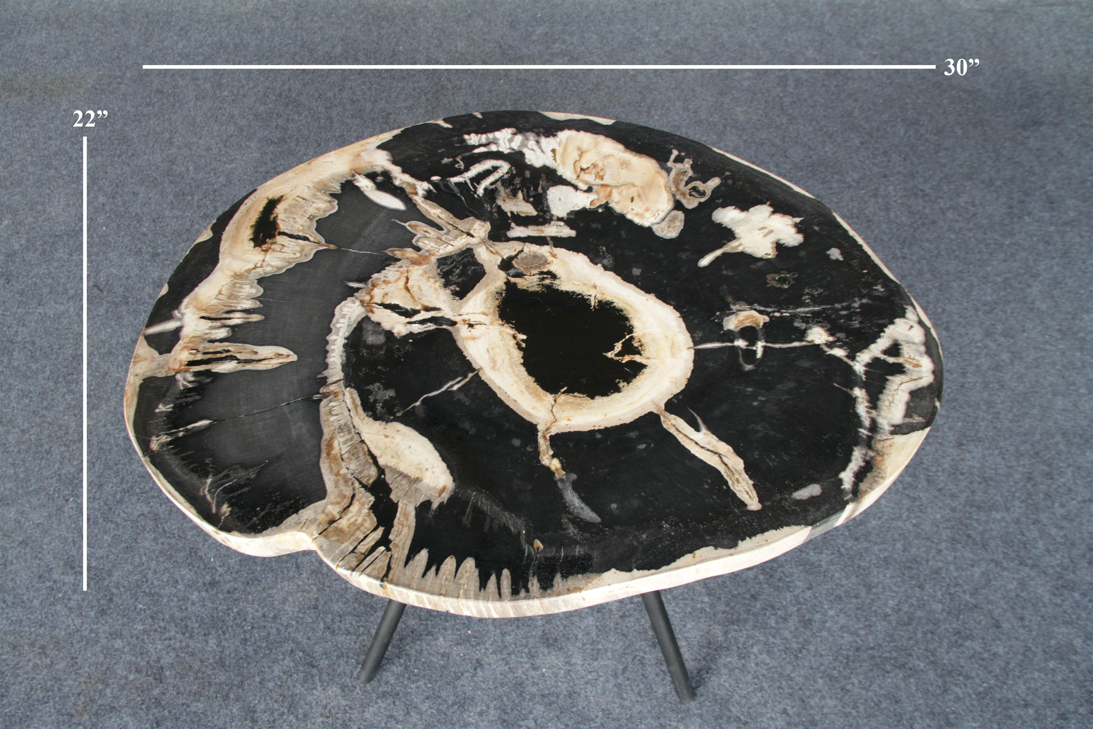 Petrified Wood Round Coffee 30" / 46 lbs