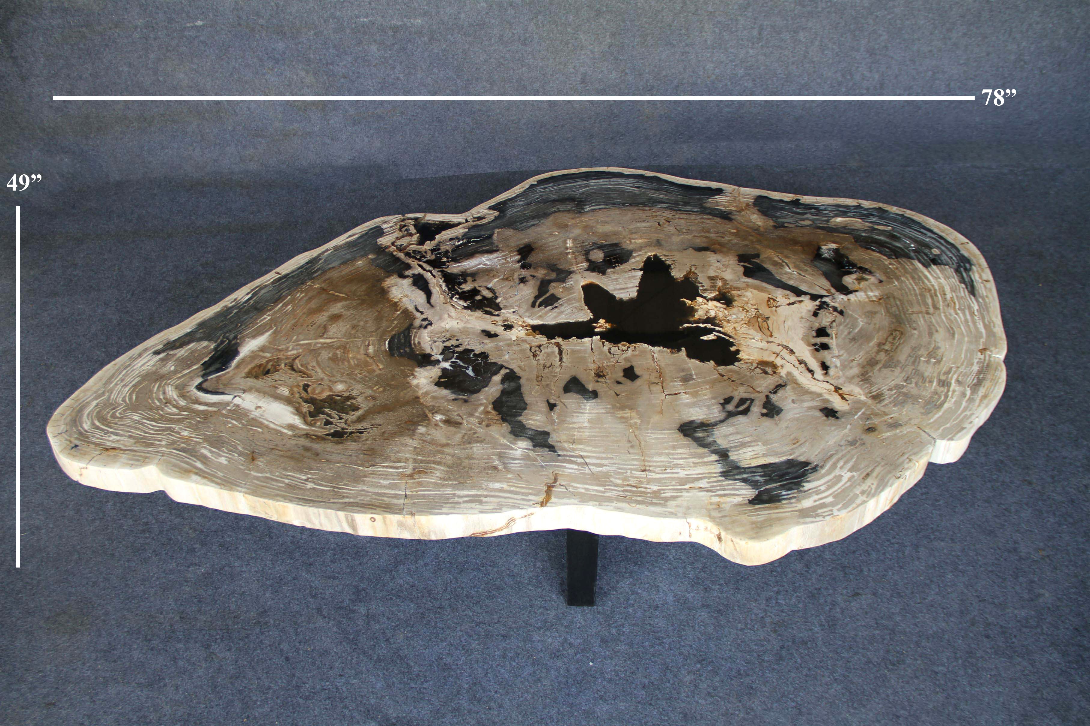 Petrified Wood Round Coffee 78" / 491 lbs