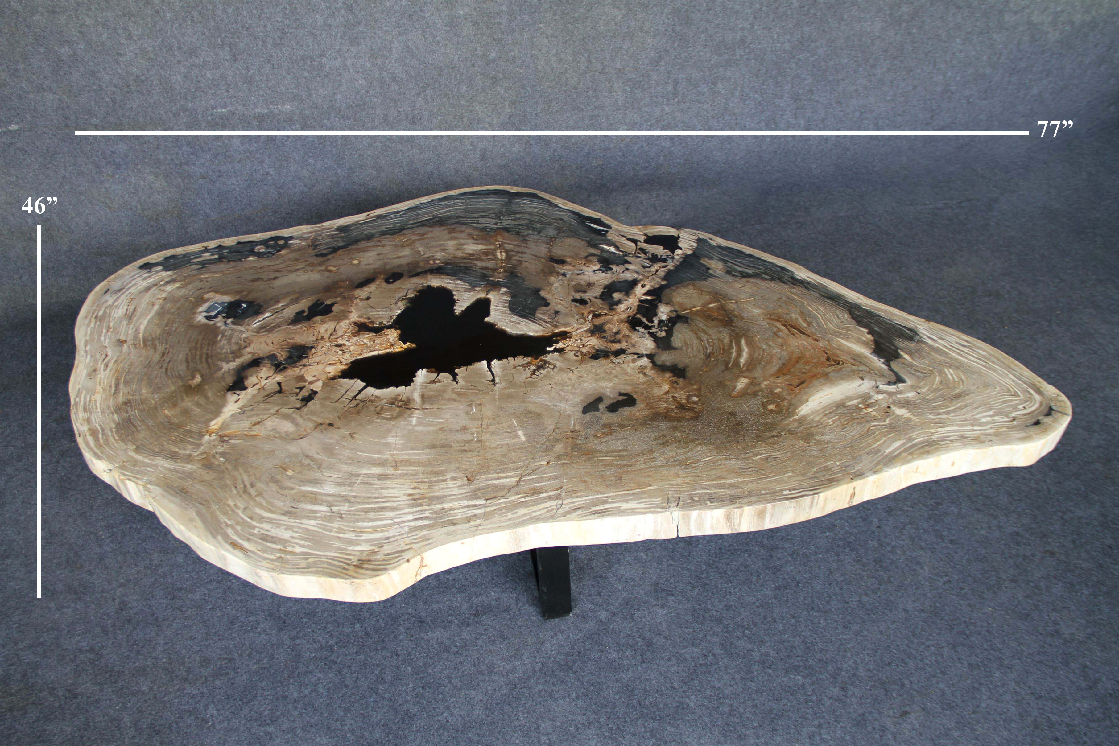 Petrified Wood Round Coffee 77" / 484 lbs