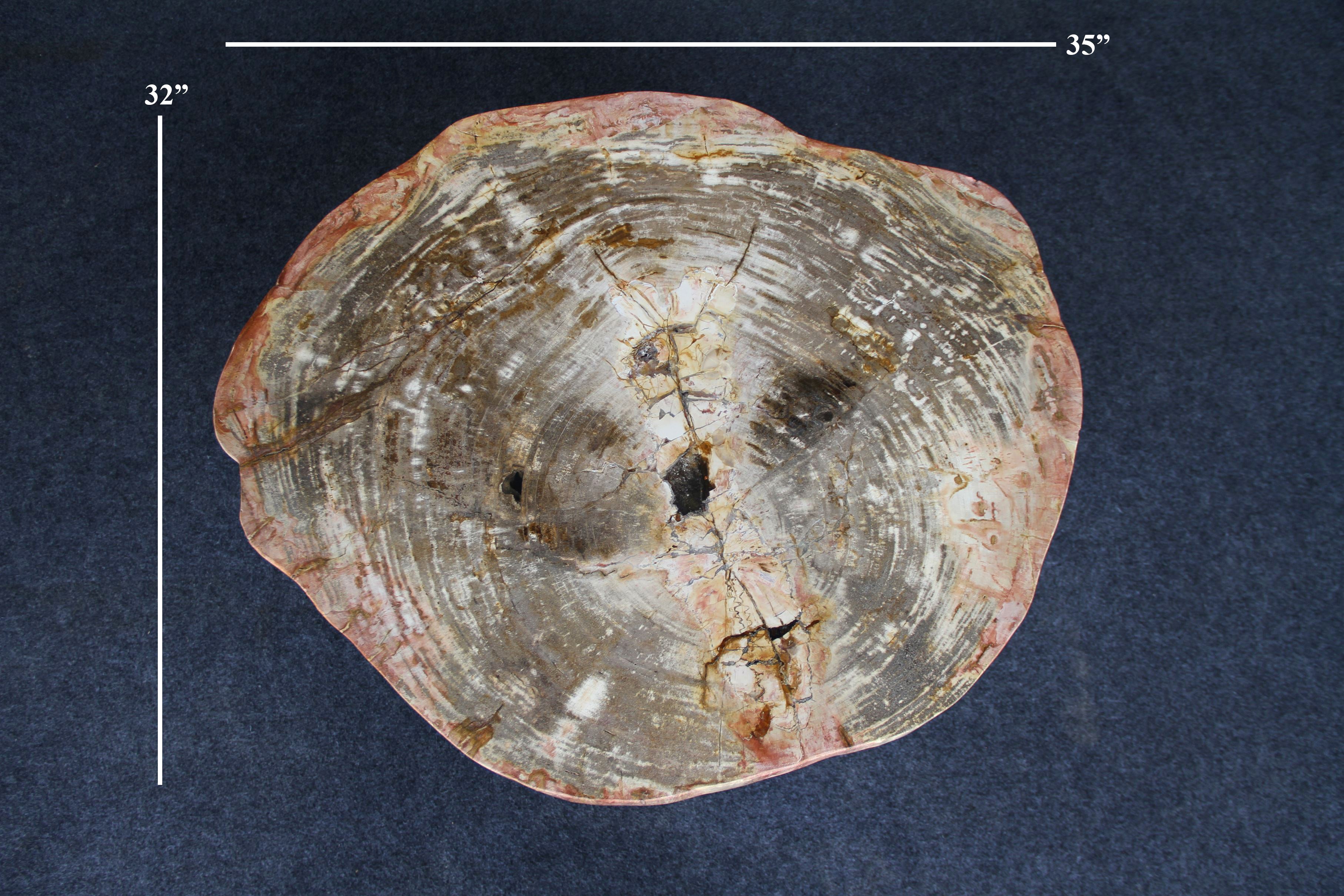 Petrified Wood Round Coffee 35" / 141 lbs