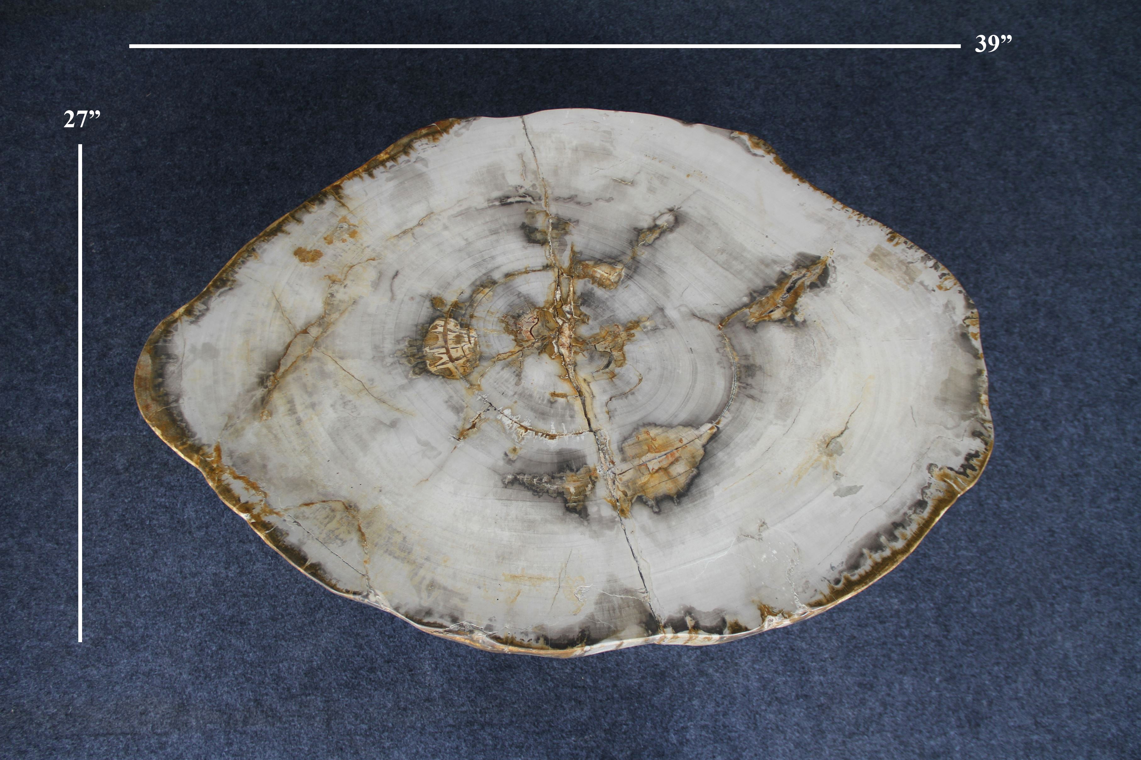 Petrified Wood Round Coffee 39" / 156 lbs