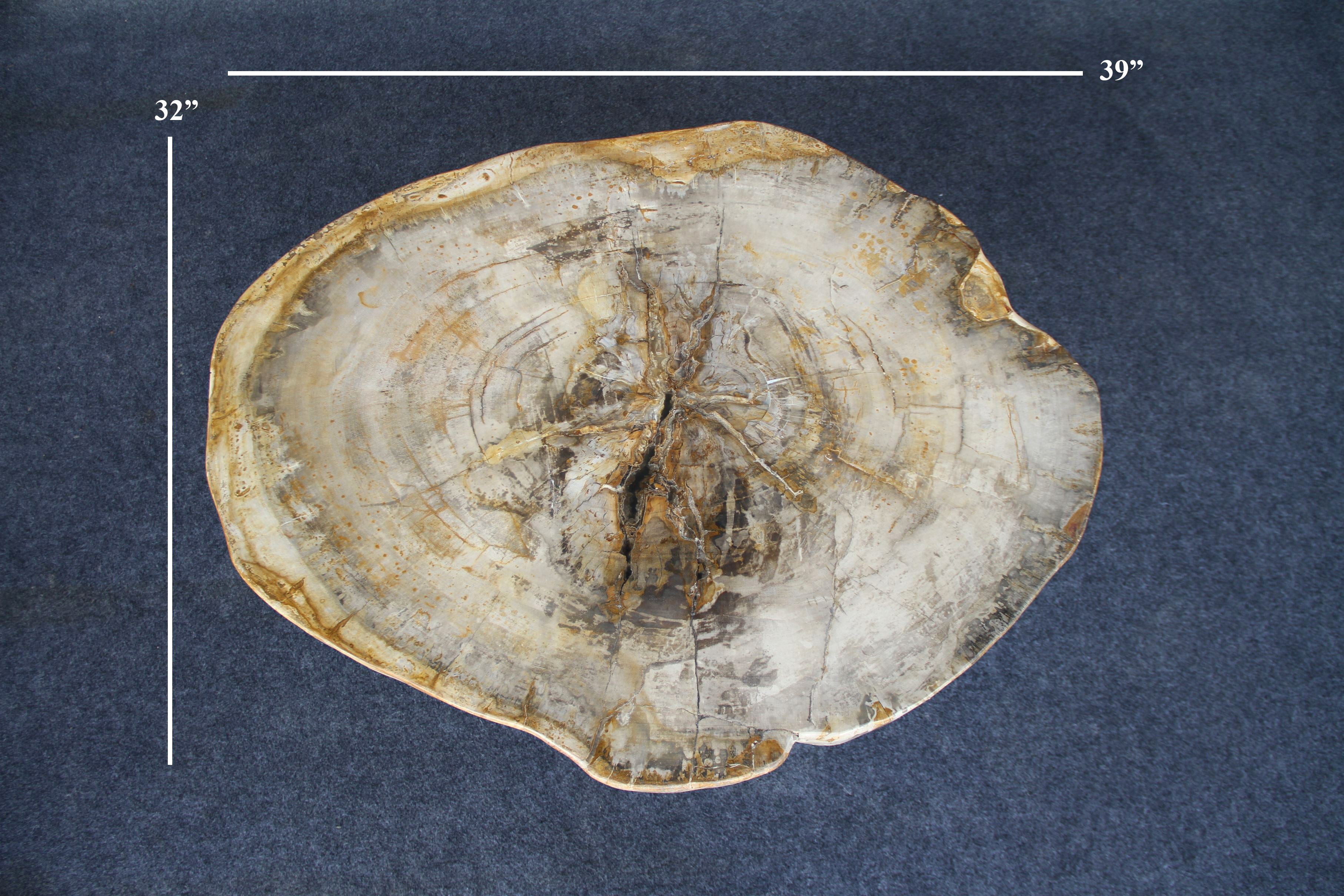 Petrified Wood Round Coffee 39" / 165 lbs