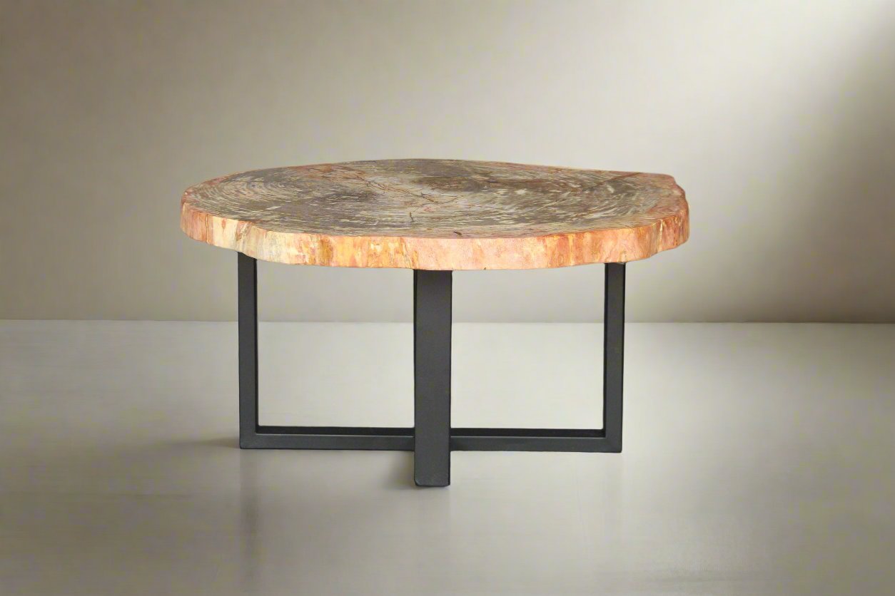 Petrified Wood Round Coffee 38" / 158 lbs