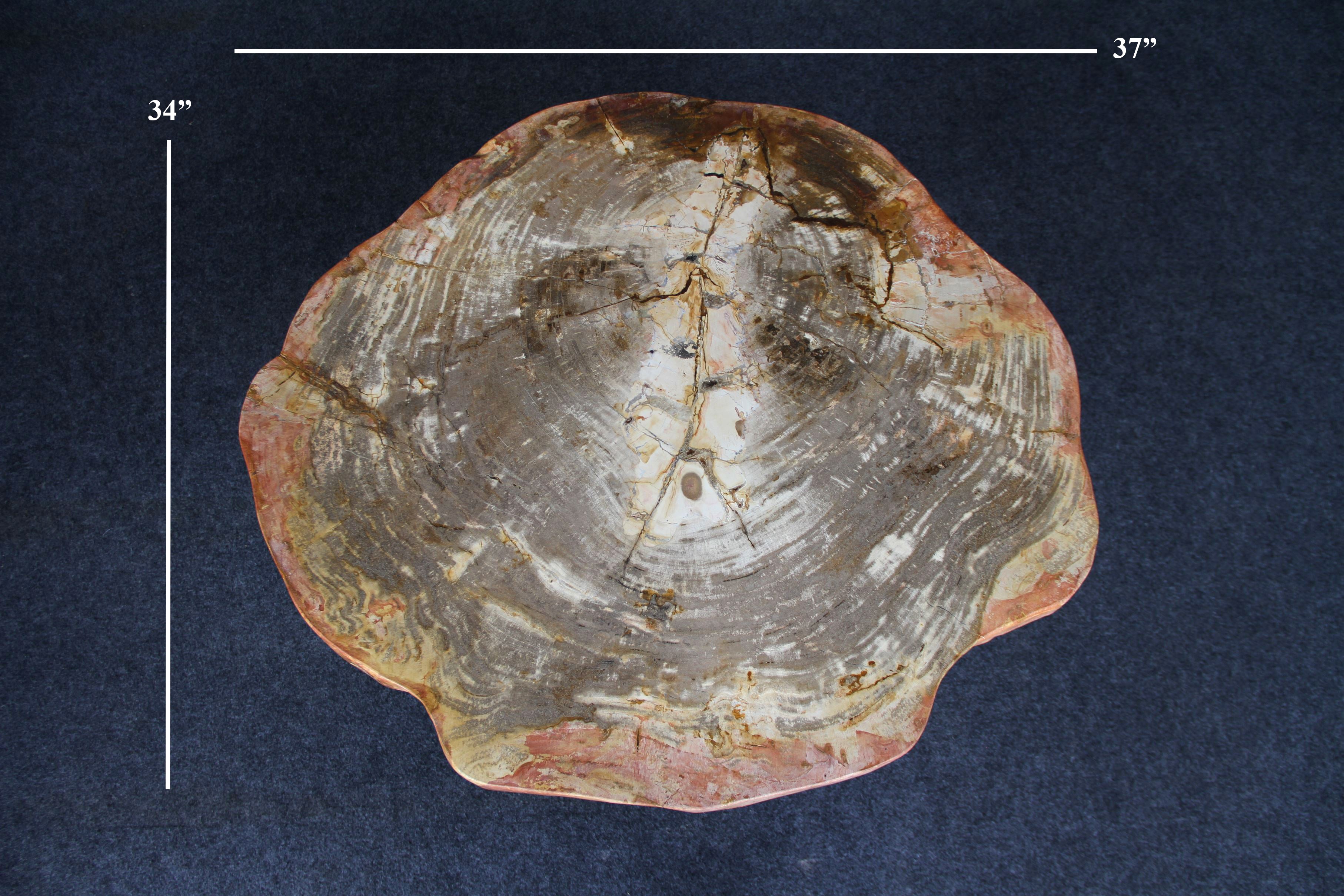 Petrified Wood Round Coffee 37" / 163 lbs