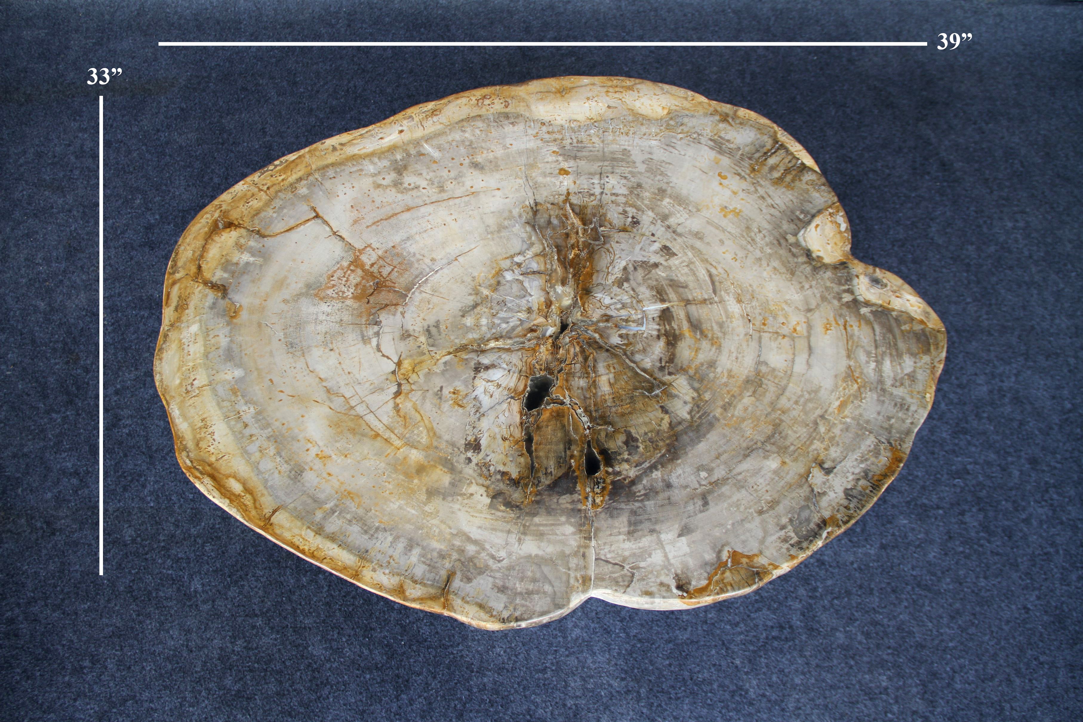 Petrified Wood Round Coffee 39" / 167 lbs