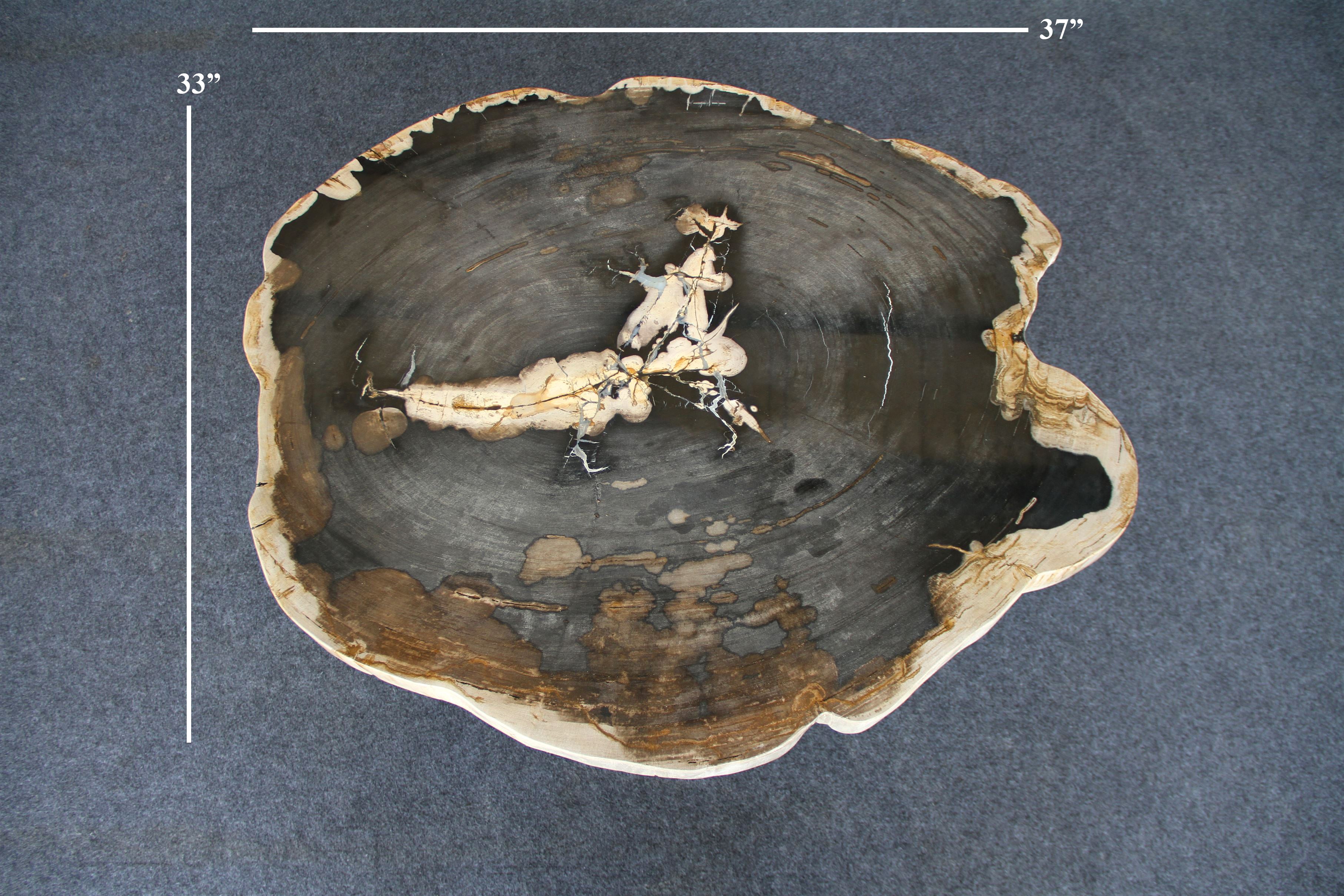 Petrified Wood Round Coffee 37" / 191 lbs