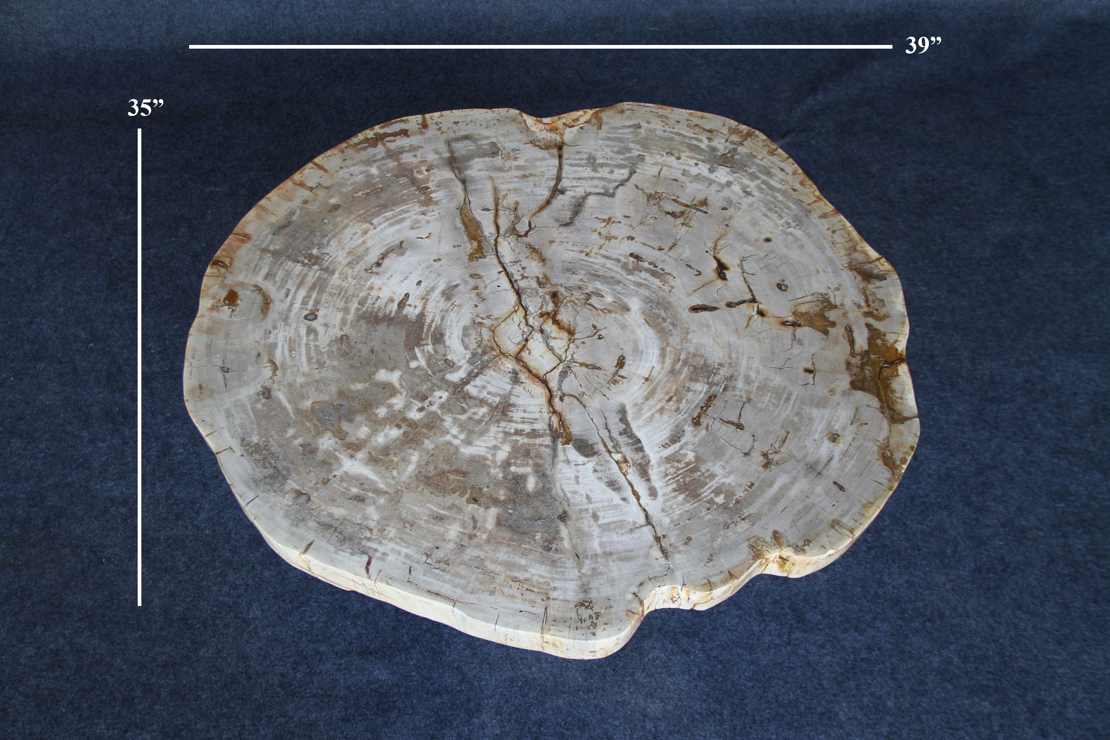 Petrified Wood Round Coffee 39" / 194 lbs