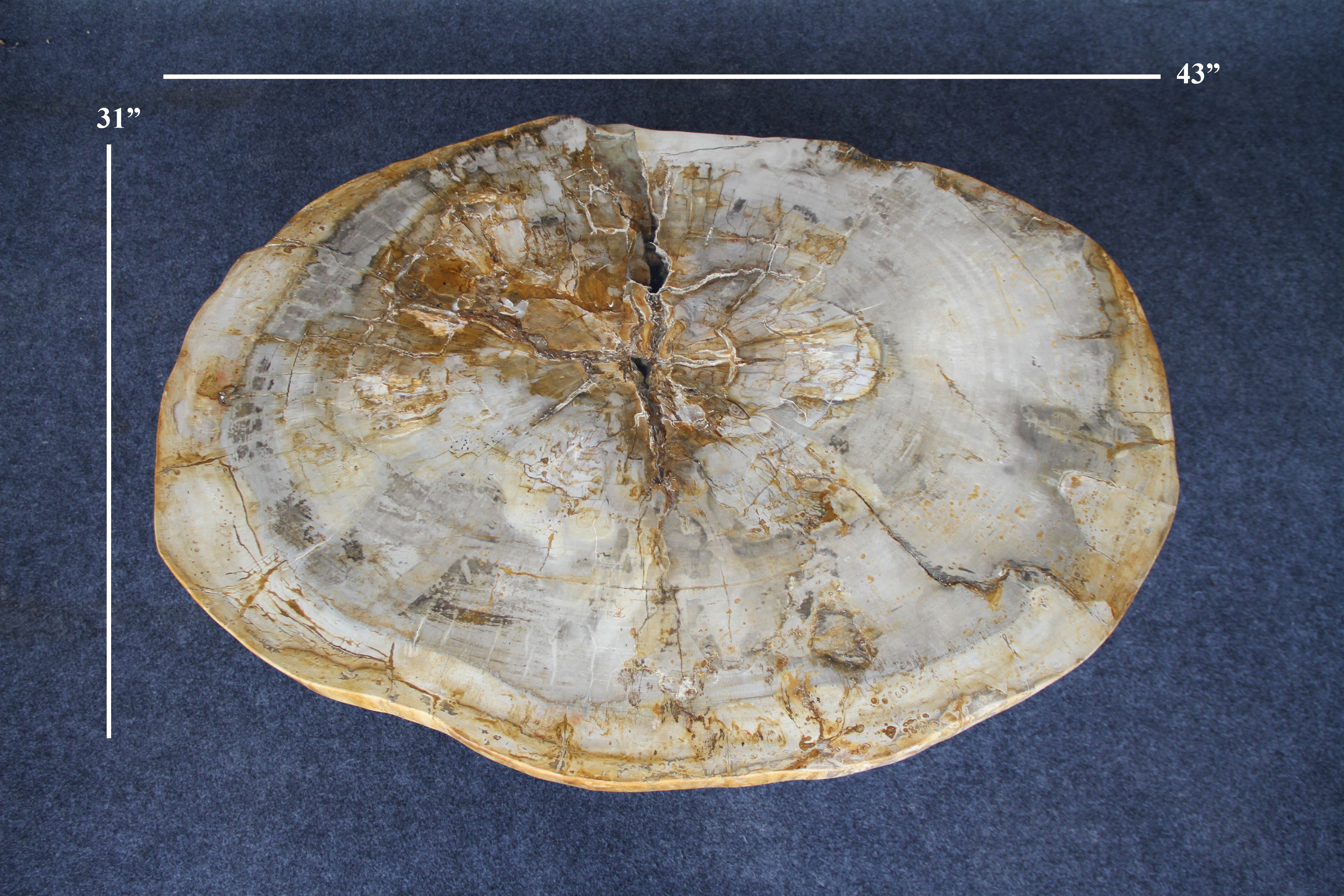 Petrified Wood Round Coffee 43" / 200 lbs