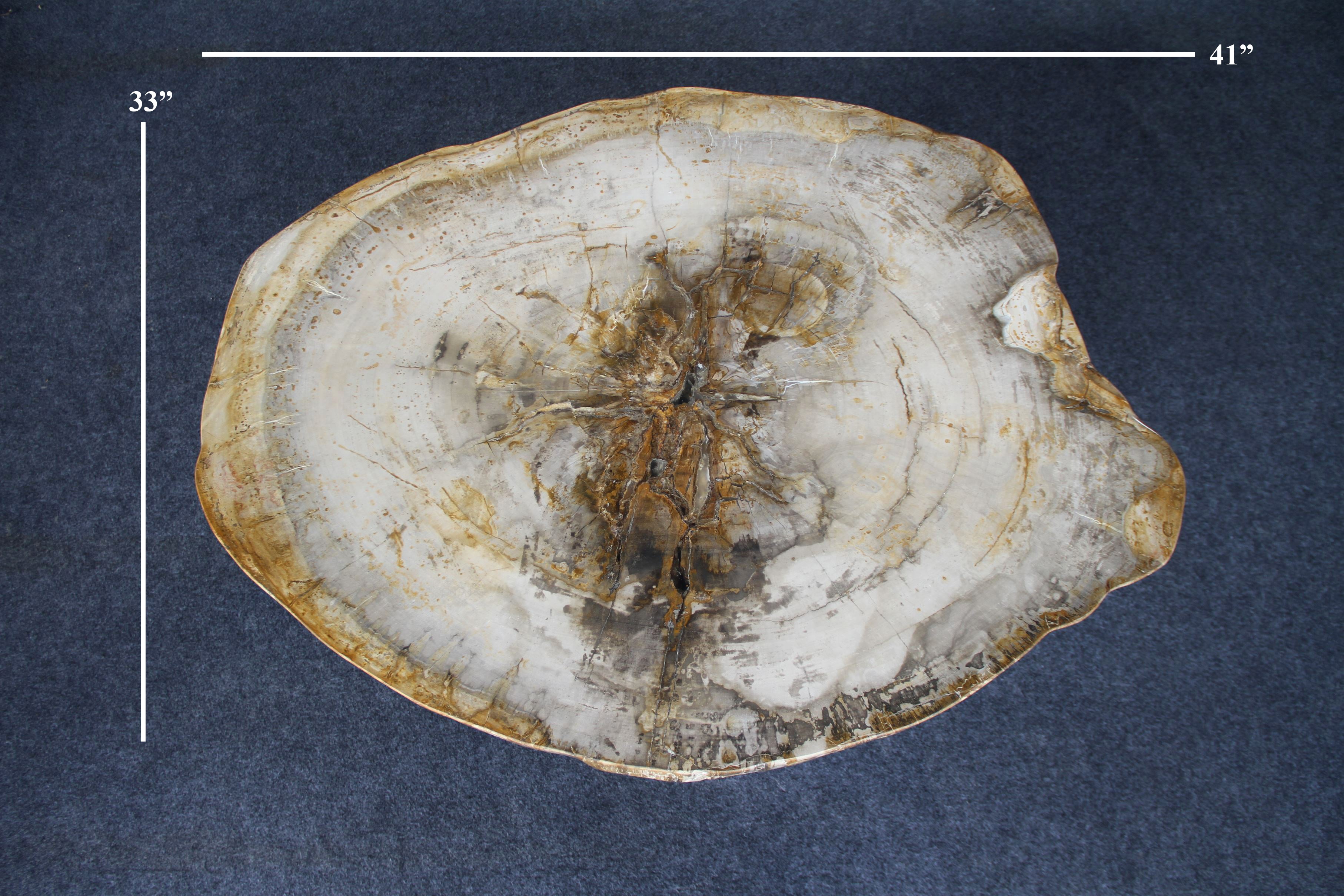 Petrified Wood Round Coffee 41" / 200 lbs