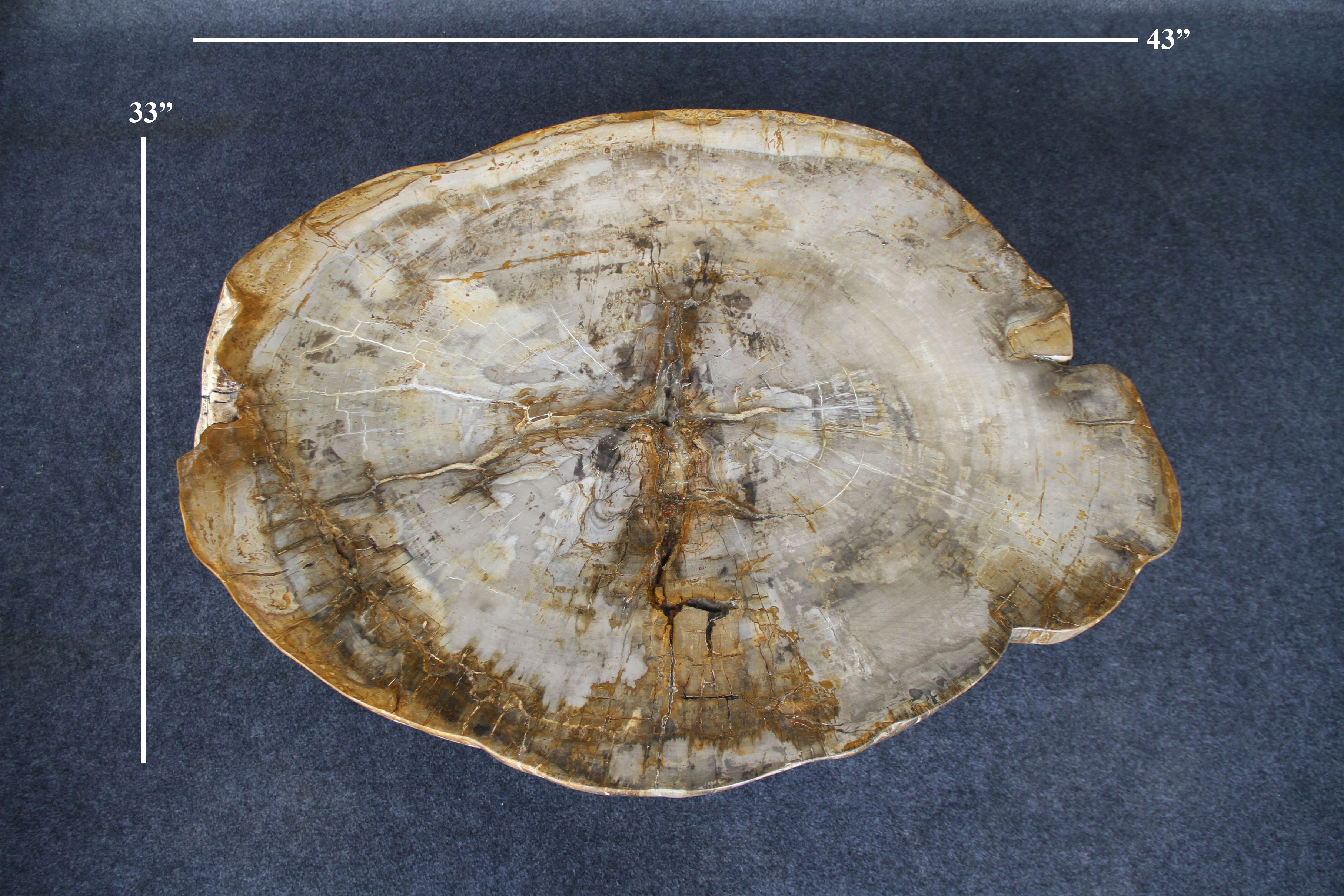 Petrified Wood Round Coffee 43" / 202 lbs