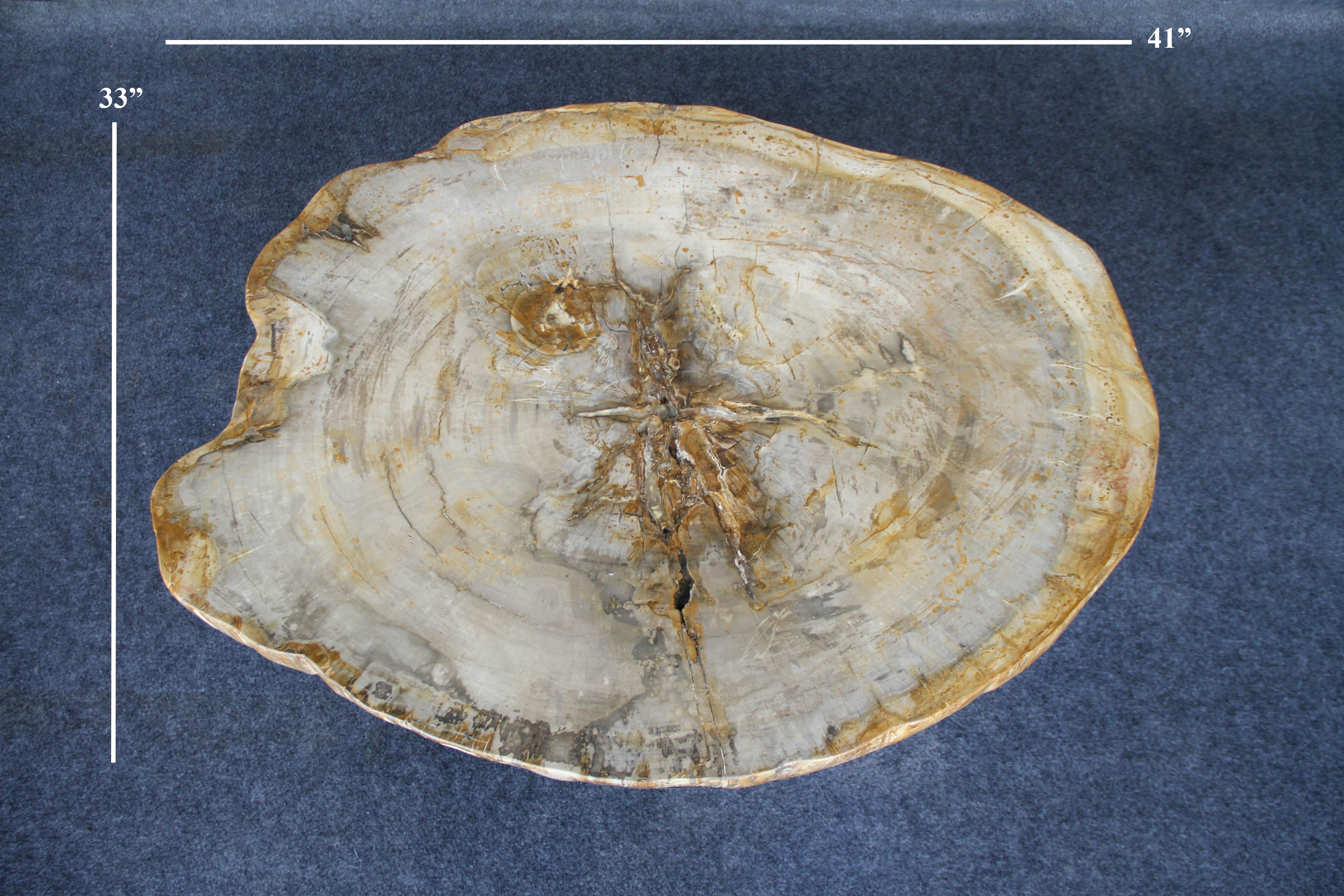 Petrified Wood Round Coffee 41" / 209 lbs