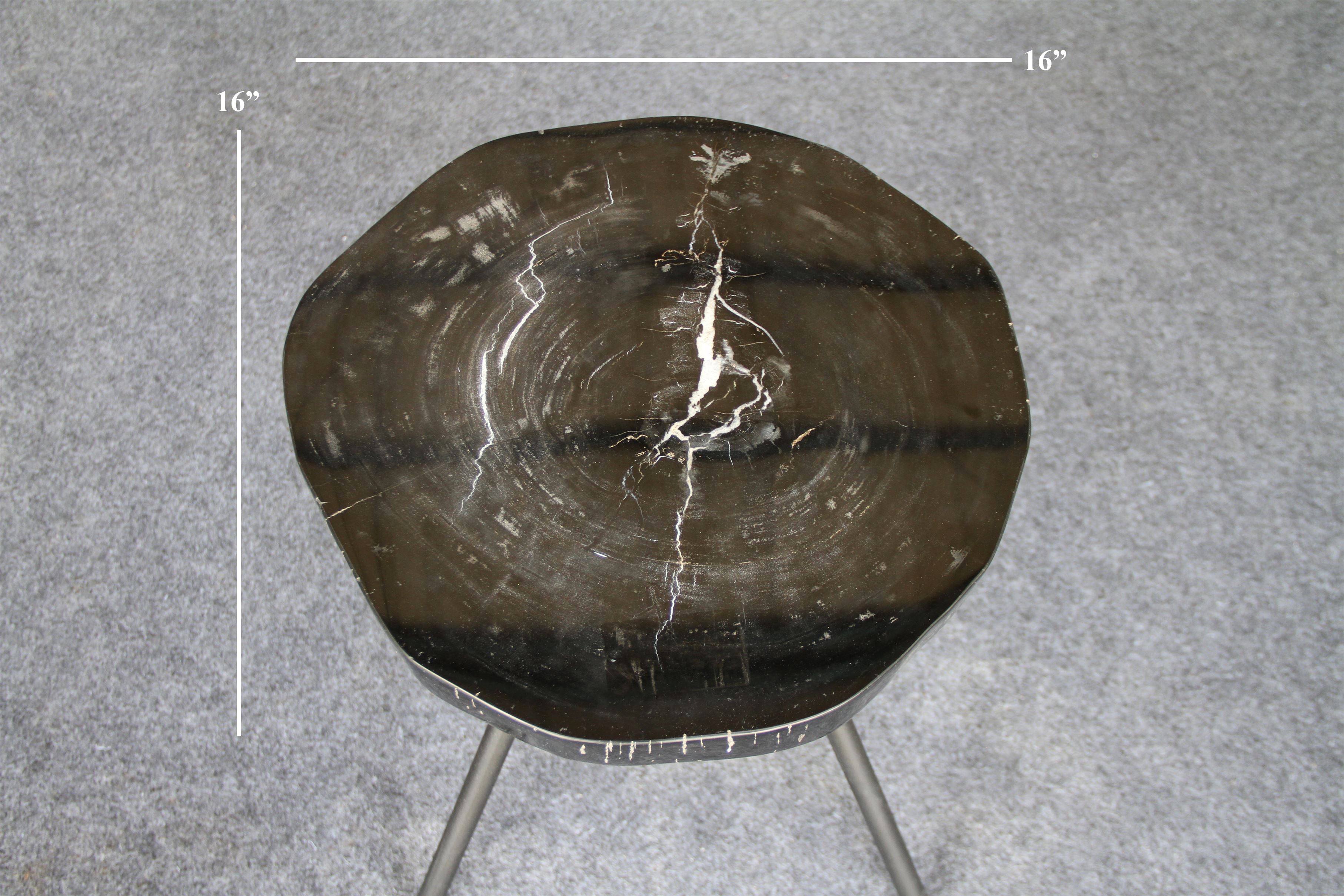 Petrified Wood Round Coffee 16" / 22 lbs