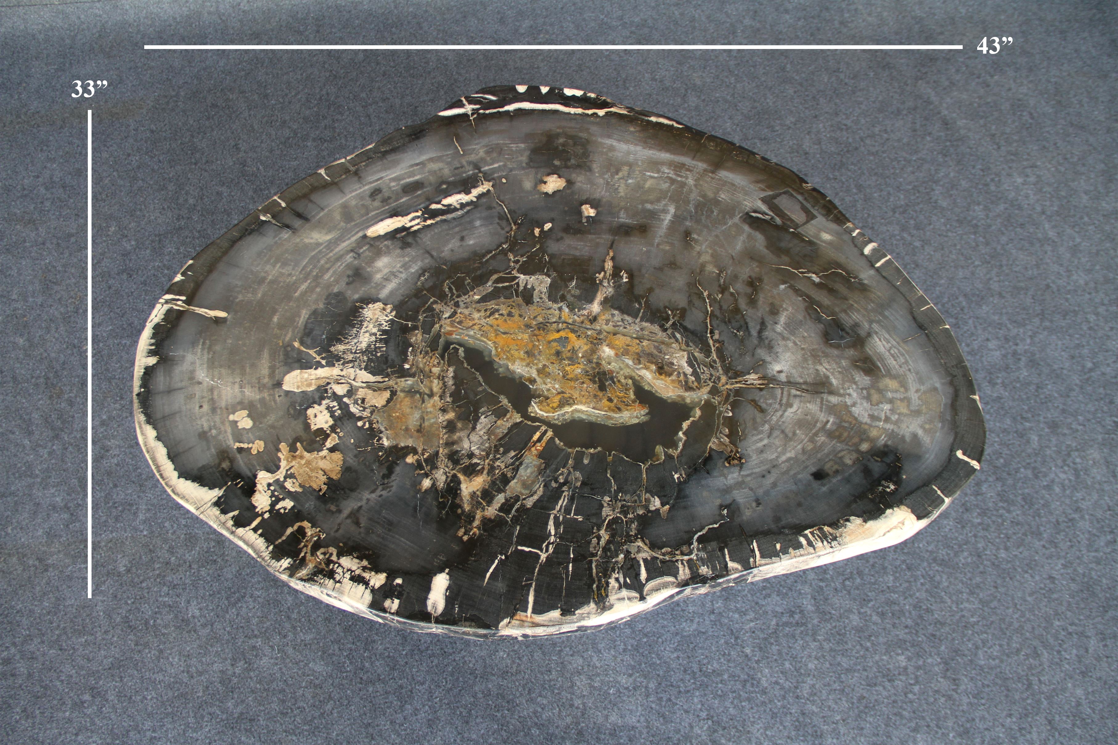 Petrified Wood Round Coffee 43" / 220 lbs