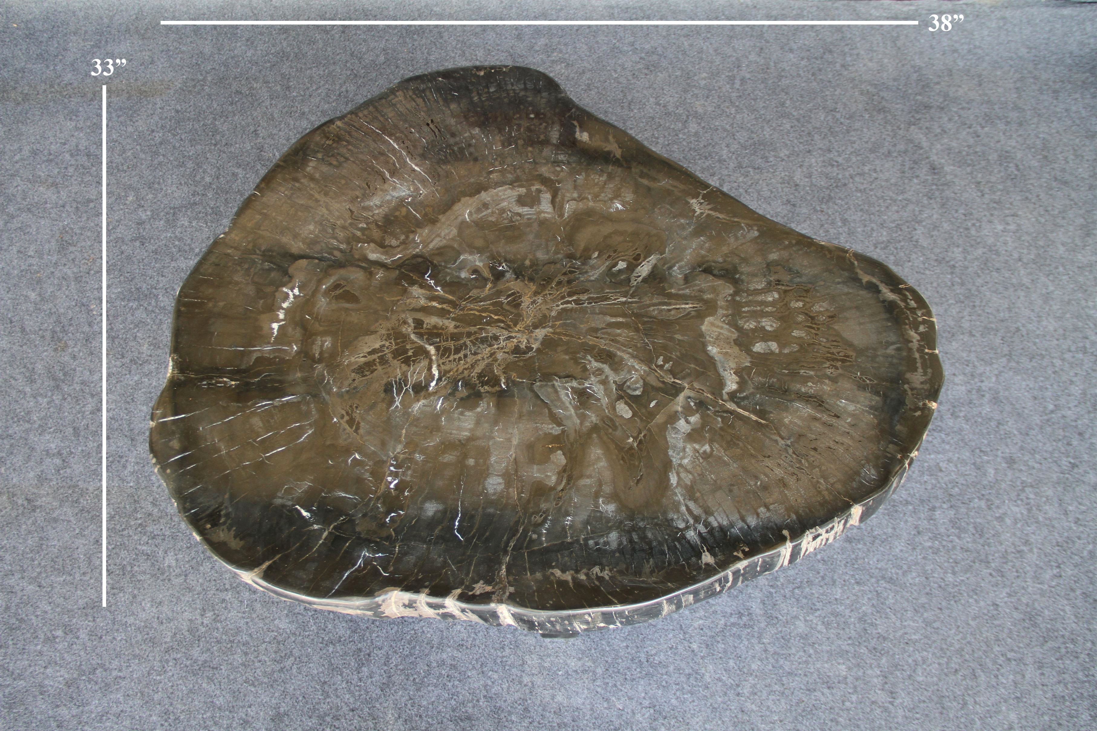 Petrified Wood Round Coffee 38" / 227 lbs