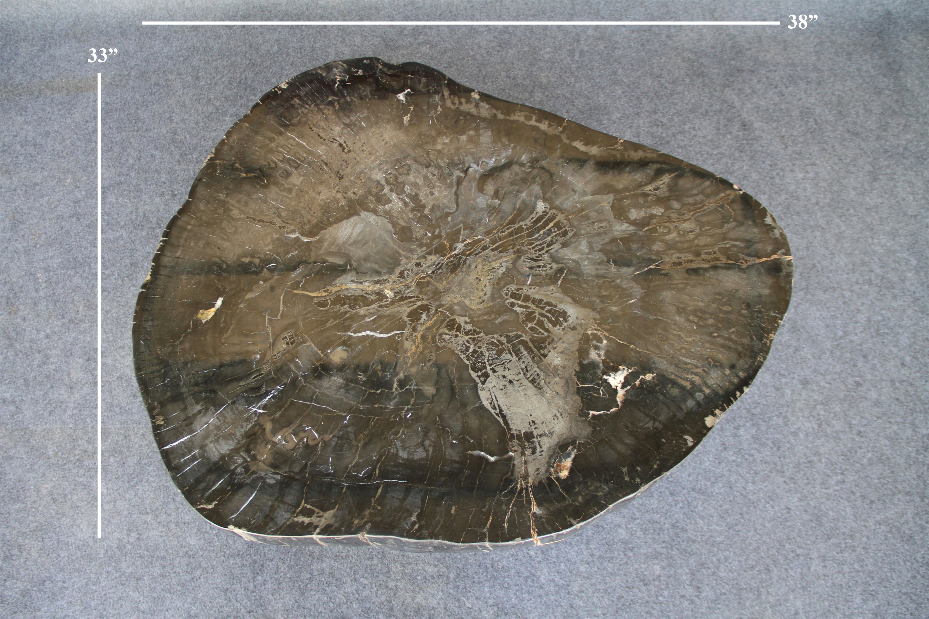 Petrified Wood Round Coffee 38" / 235 lbs