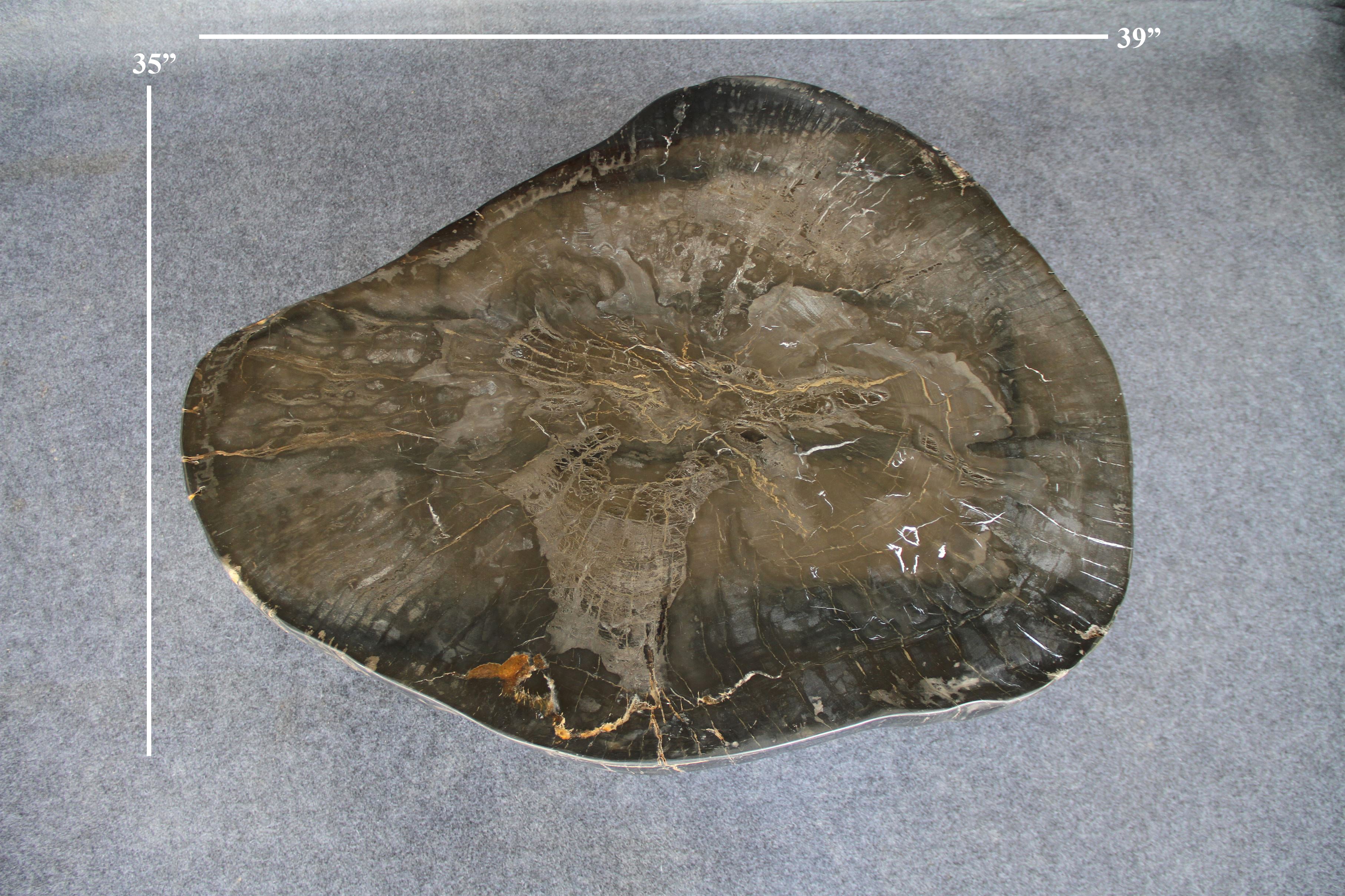 Petrified Wood Round Coffee 39" / 253 lbs