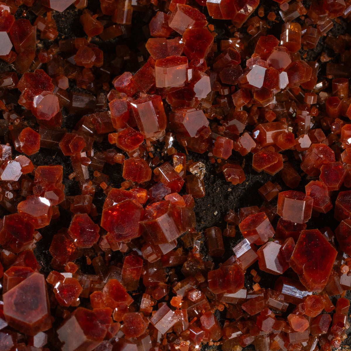 Natural Vanadinite Cluster - 4" / 200 g