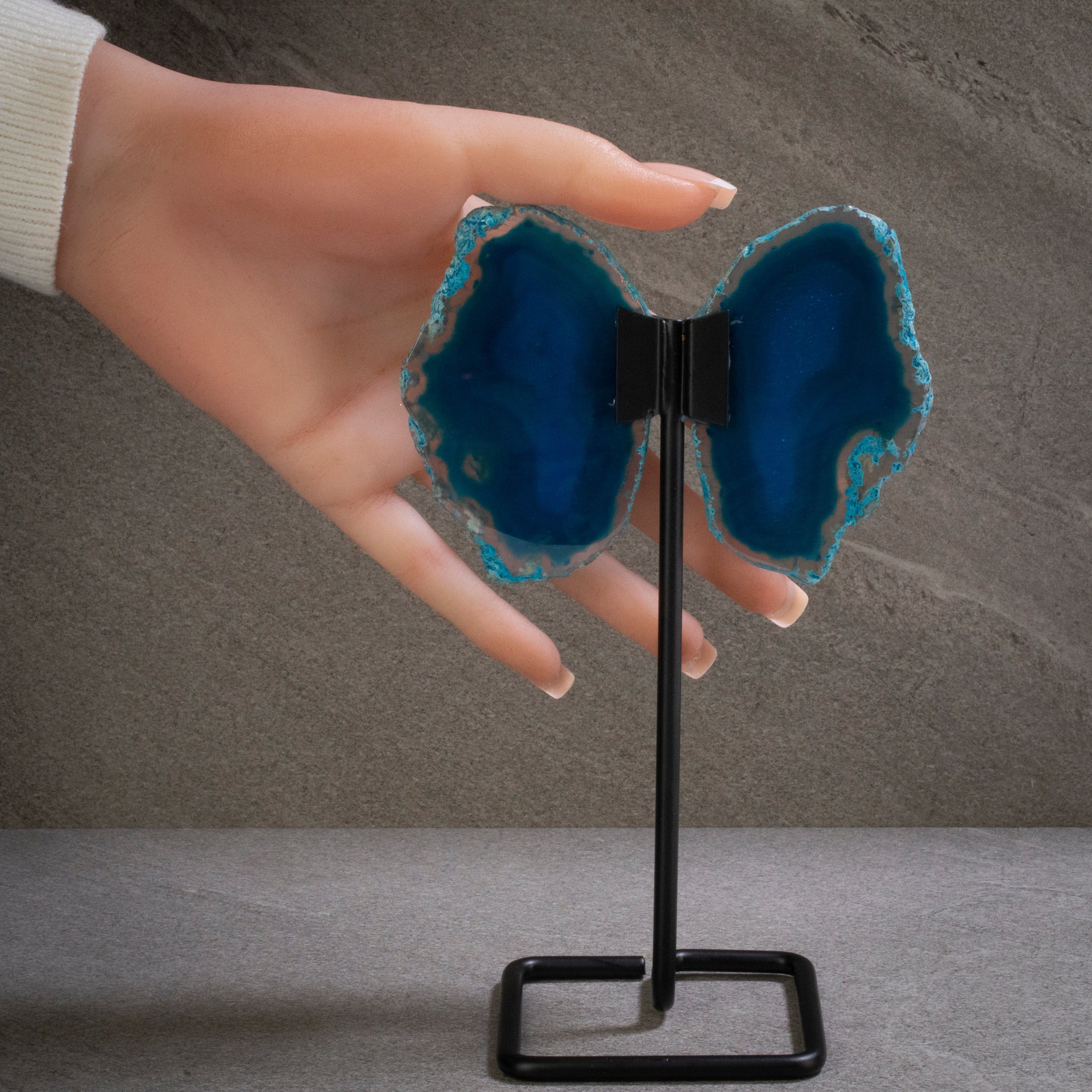 Kalifano Agate Blue Agate Wings on Custom Stand BAW120-BE