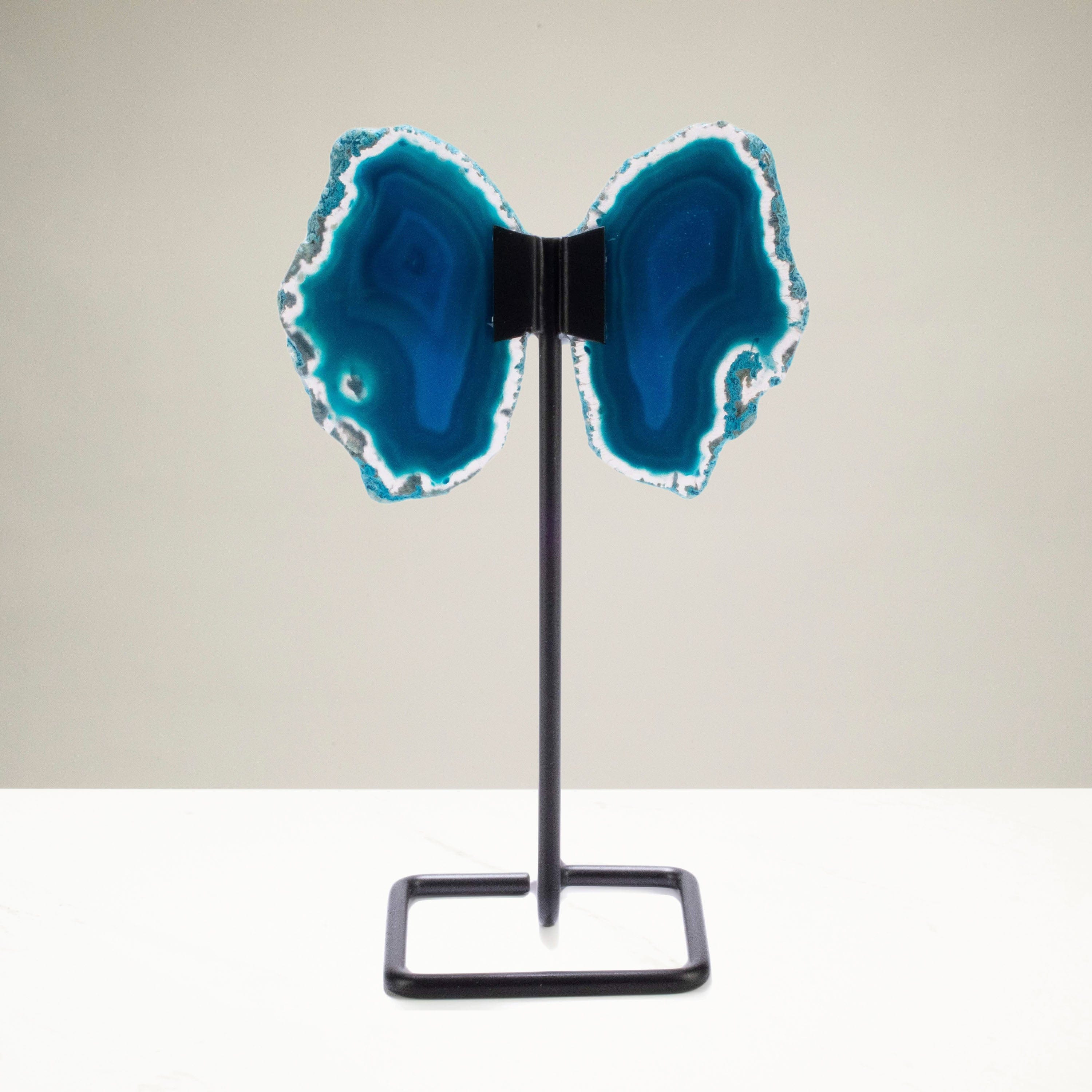 Kalifano Agate Blue Agate Wings on Custom Stand BAW120-BE