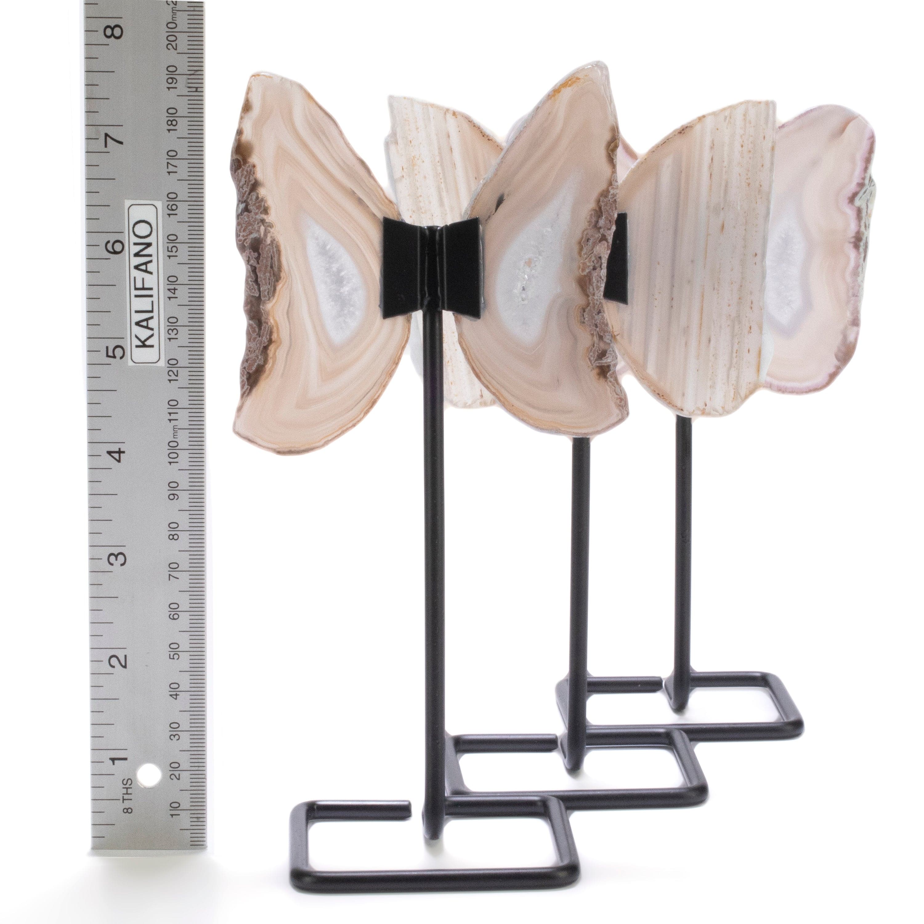 Kalifano Agate Natural Agate Wings on Custom Stand BAW120-AG