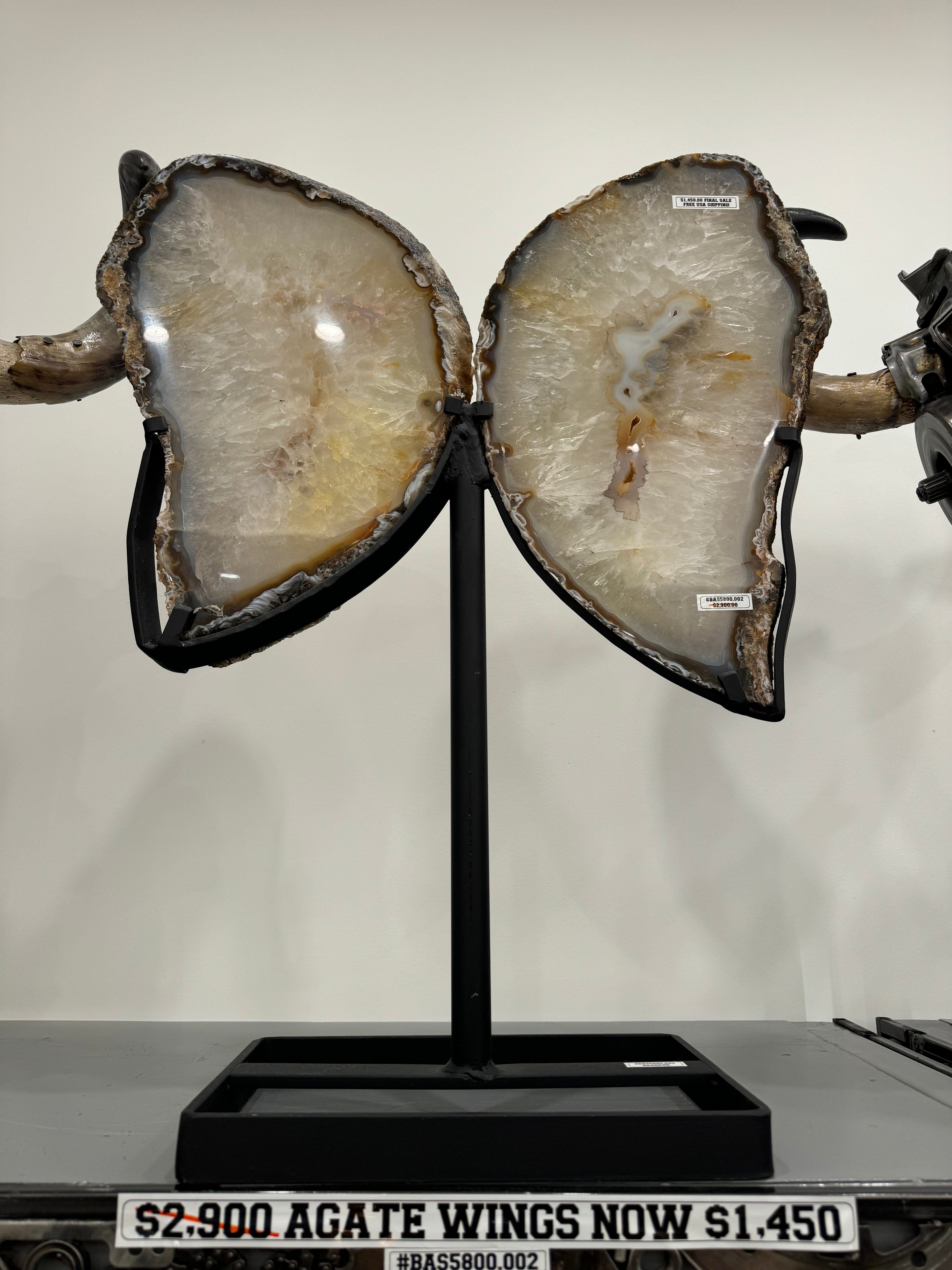 Kalifano Agate Natural Brazilian Agate & Quartz Slice Wings on Custom Stand - 28" / 33 lbs BAS5800.002