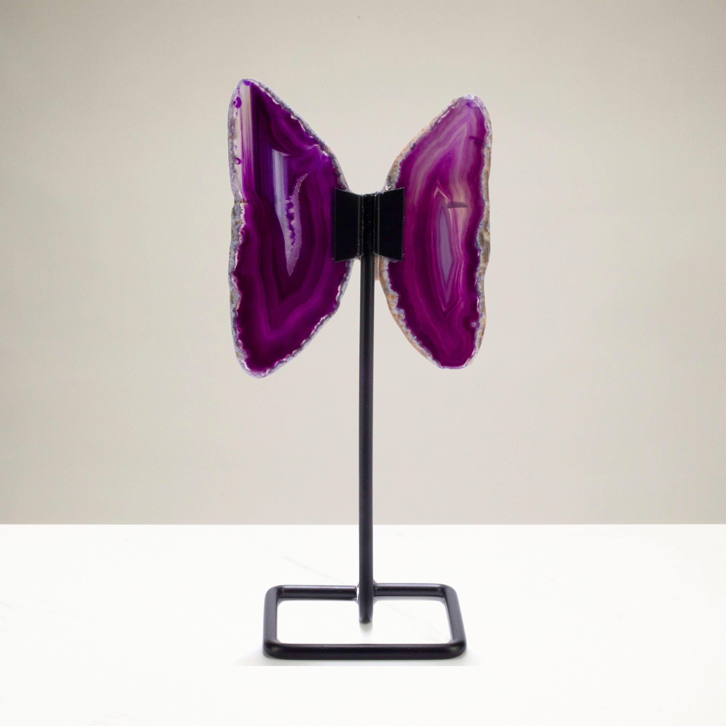Kalifano Agate Purple Agate Wings on Custom Stand BAW120-PP