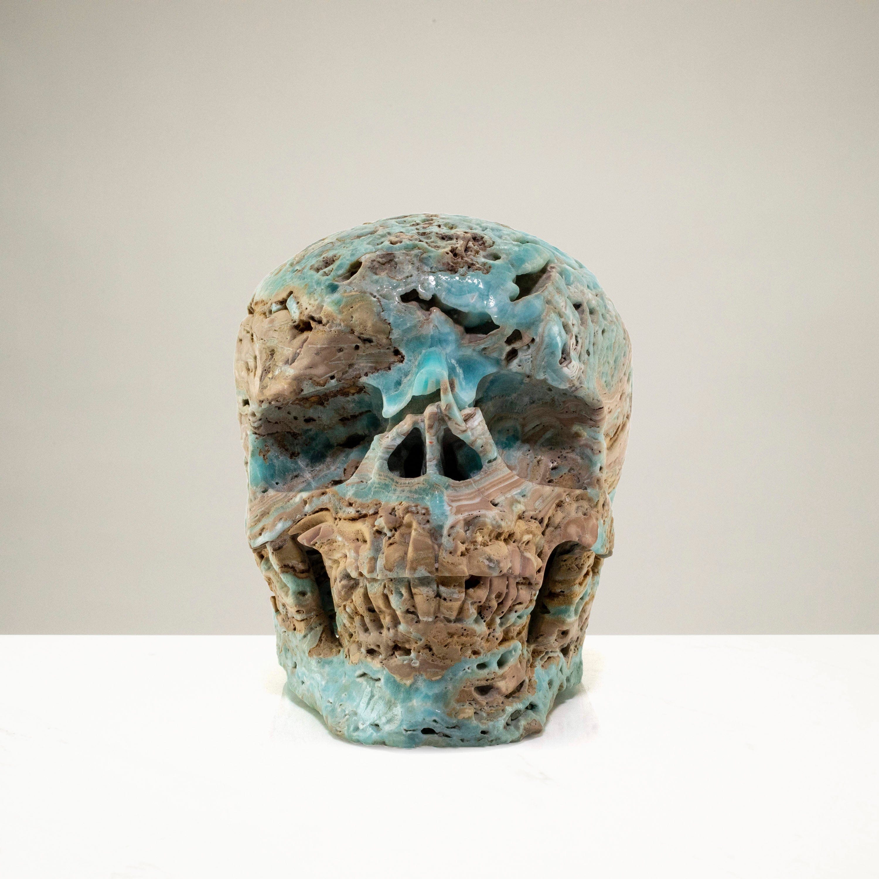 Kalifano Amazonite Amazonite Skull Carving 9" / 7,300g SK18000-AZ.001