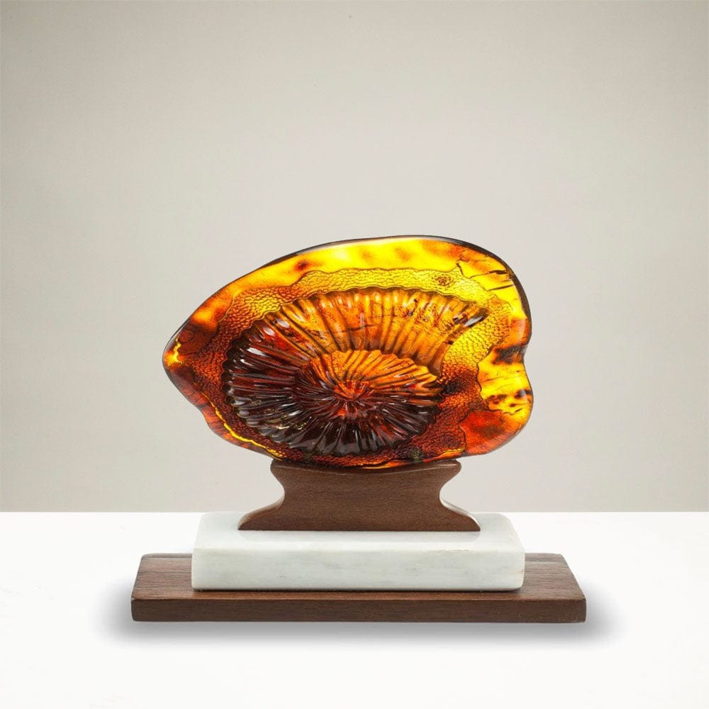 Kalifano Amber AMB3900.002 - Hand Carved Samora Amber Ammonite - Mexico AMB3900.002