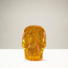 Cultured Amber Skull