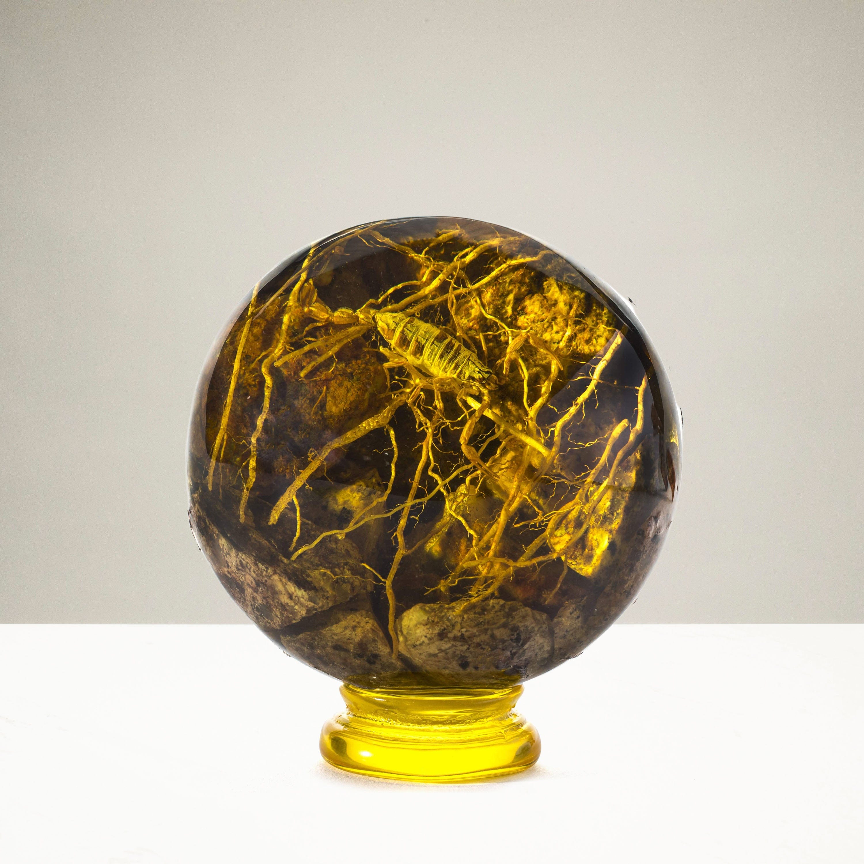 Kalifano Amber Cultured Amber Sphere with Scorpion - 4" AMB400