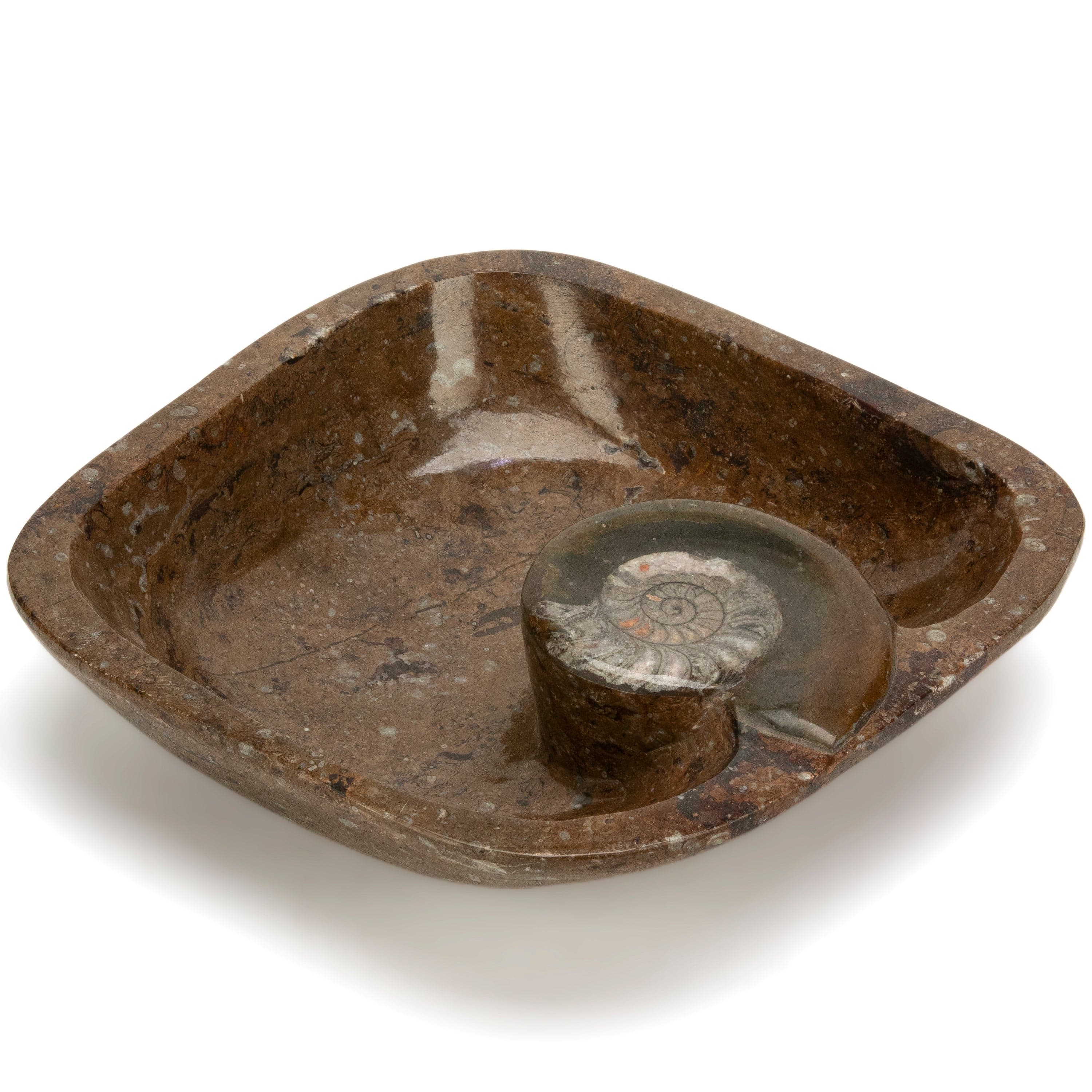 KALIFANO Ammonite Ammonite Fossil Sink Bowl from Morocco - 15" AMBOWL3200.005