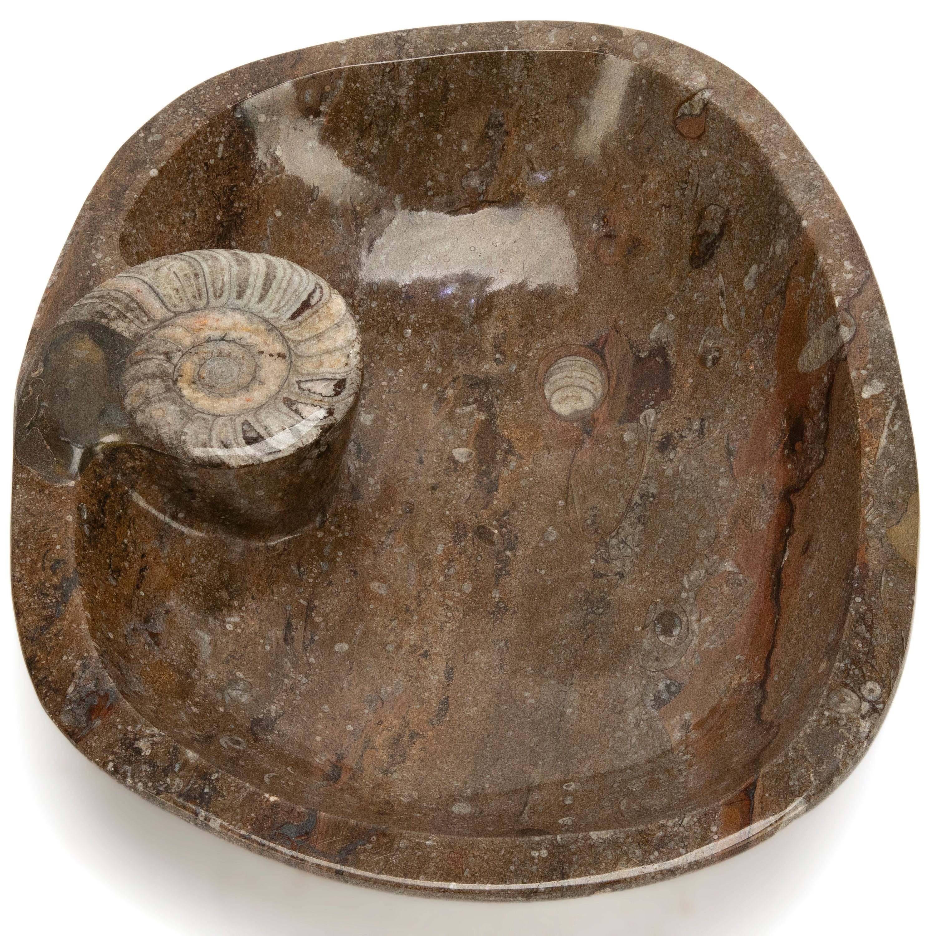 KALIFANO Ammonite Ammonite Fossil Sink Bowl from Morocco - 18.5" AMBOWL3200.006