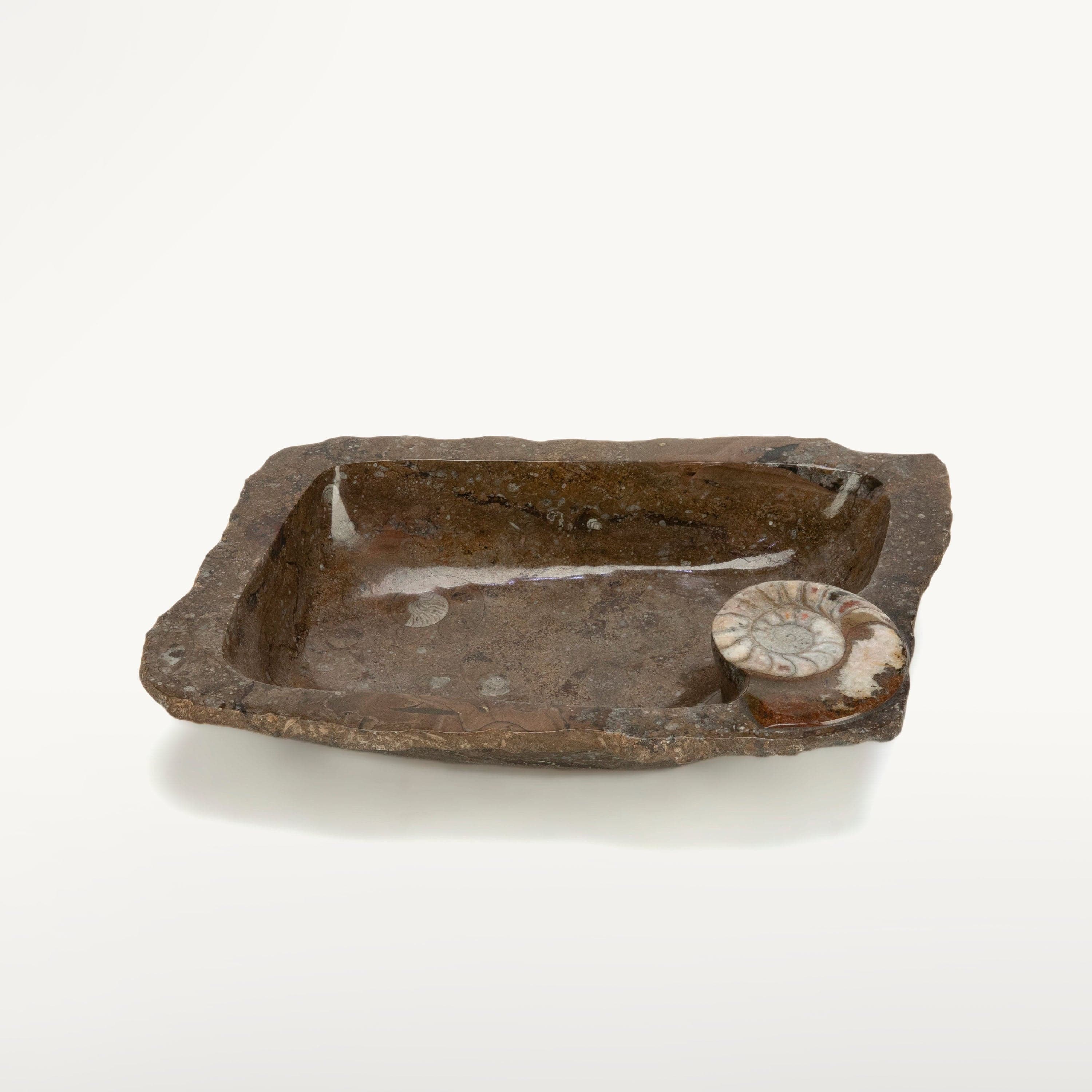 KALIFANO Ammonite Ammonite Fossil Sink Bowl from Morocco - 23.5" AMBOWL3200.001