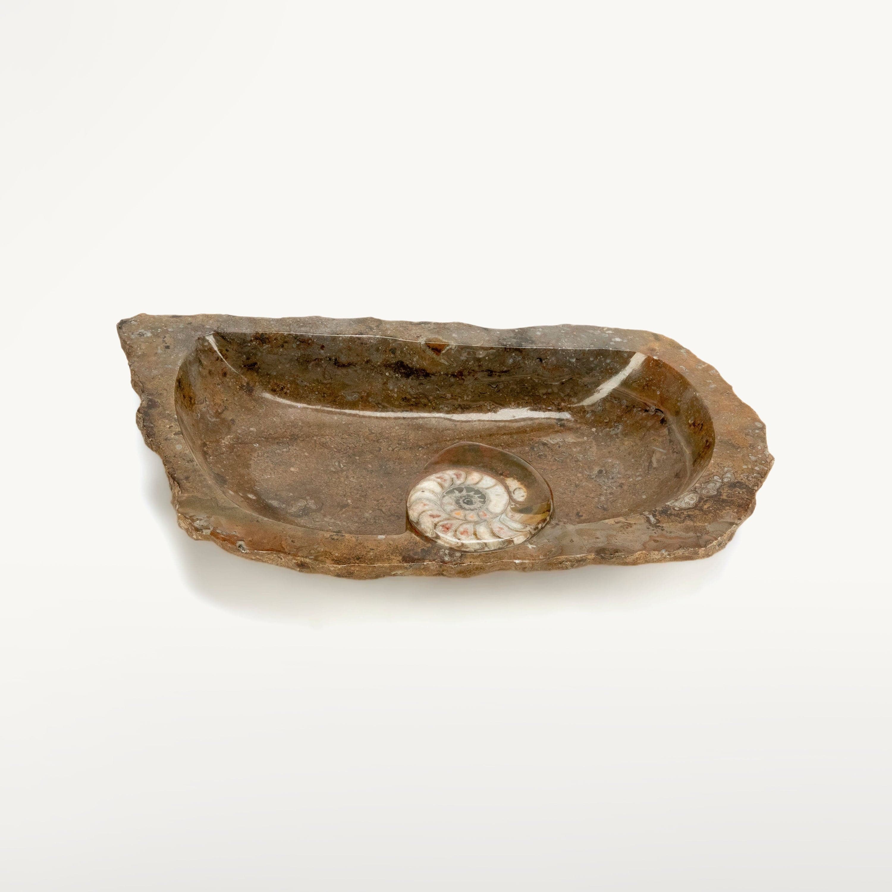 KALIFANO Ammonite Ammonite Fossil Sink Bowl from Morocco - 25" AMBOWL3200.003