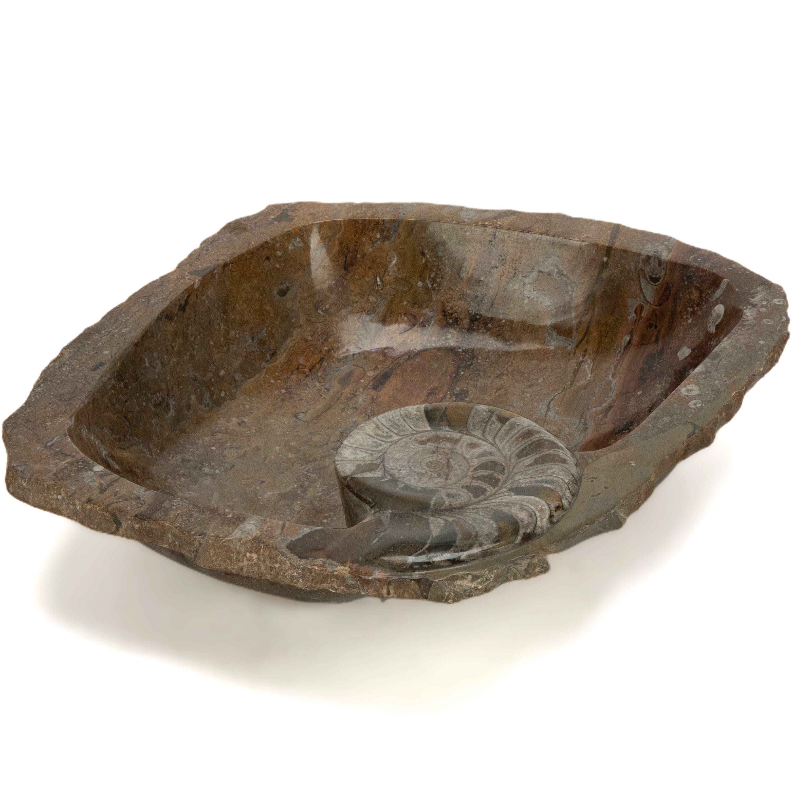 KALIFANO Ammonites Ammonite Fossil Sink Bowl from Morocco - 18" AMBOWL3200.010