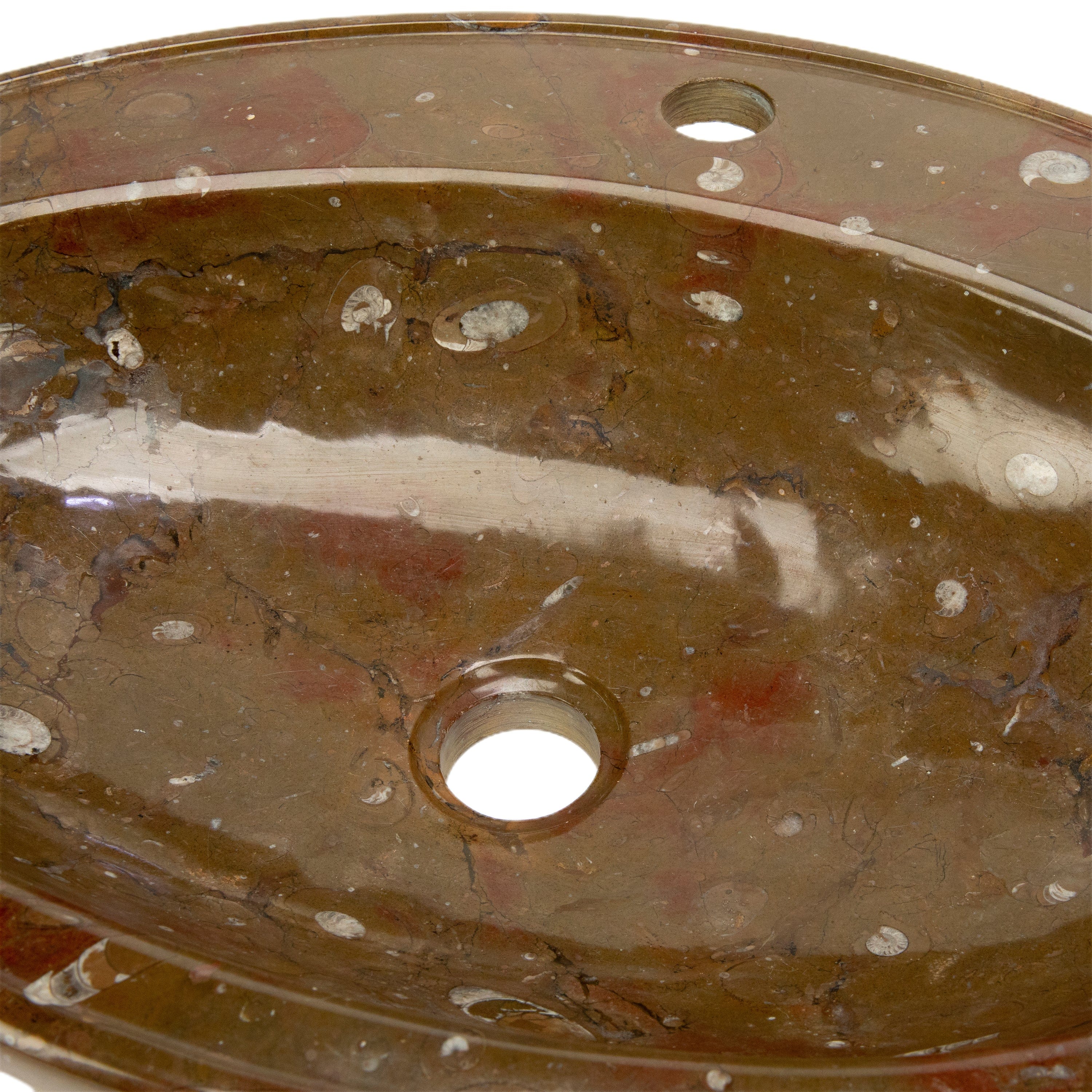 KALIFANO Ammonites Ammonite Fossil Sink Bowl from Morocco - 23" AMBOWL3200.009
