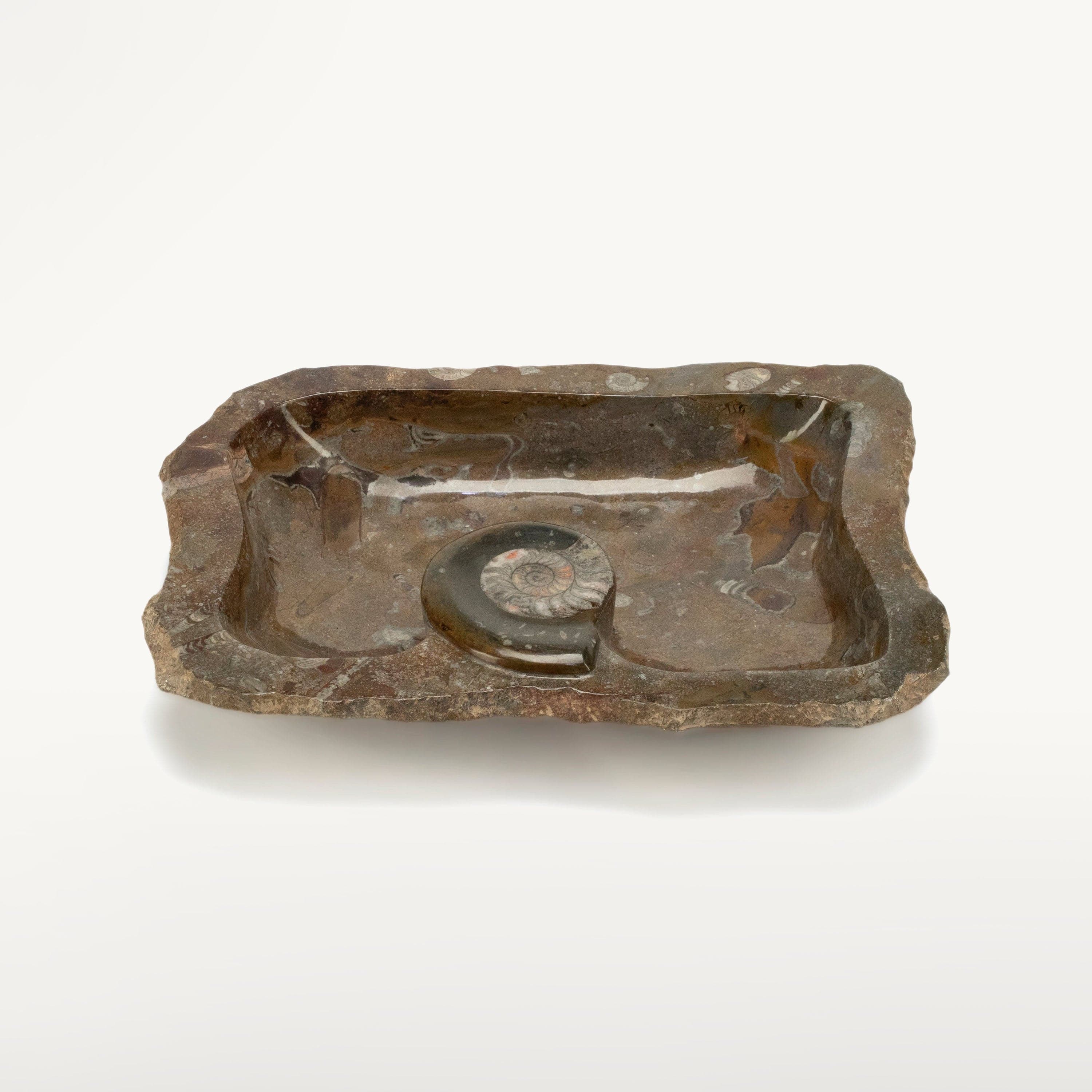 KALIFANO Ammonites & Orthoceras Ammonite Fossil Sink Bowl from Morocco - 23" AMBOWL3200.004