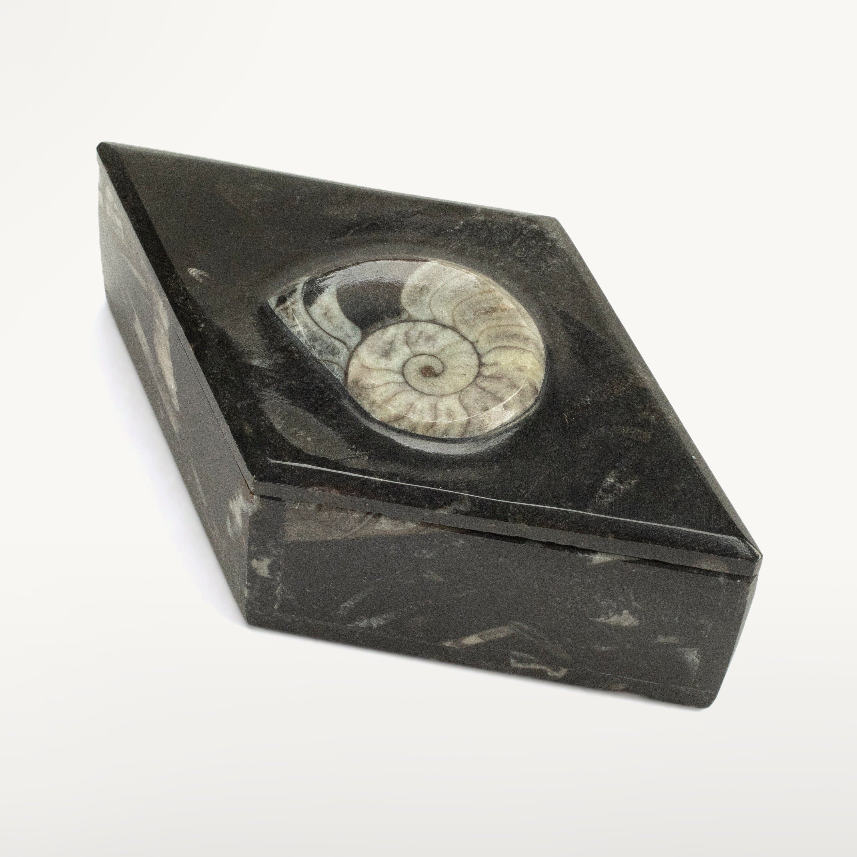 Kalifano Ammonites & Orthoceras Natural Ammonite Vanity Box from Morocco - Diamond Shaped & Black SVA-AMM-BK2
