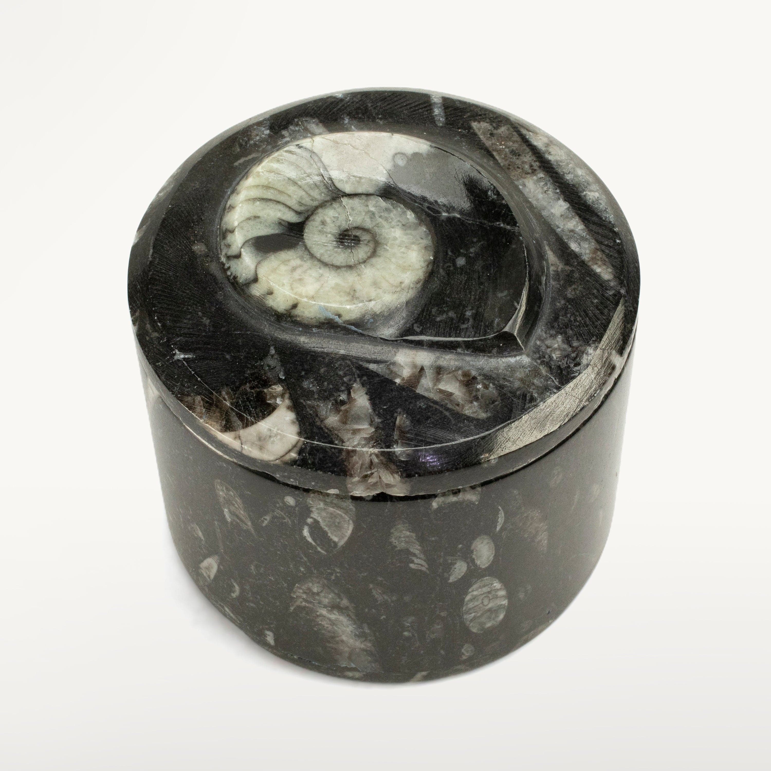 Kalifano Ammonites & Orthoceras Natural Ammonite Vanity Box from Morocco - Round & Black SVA-AMM-BK3