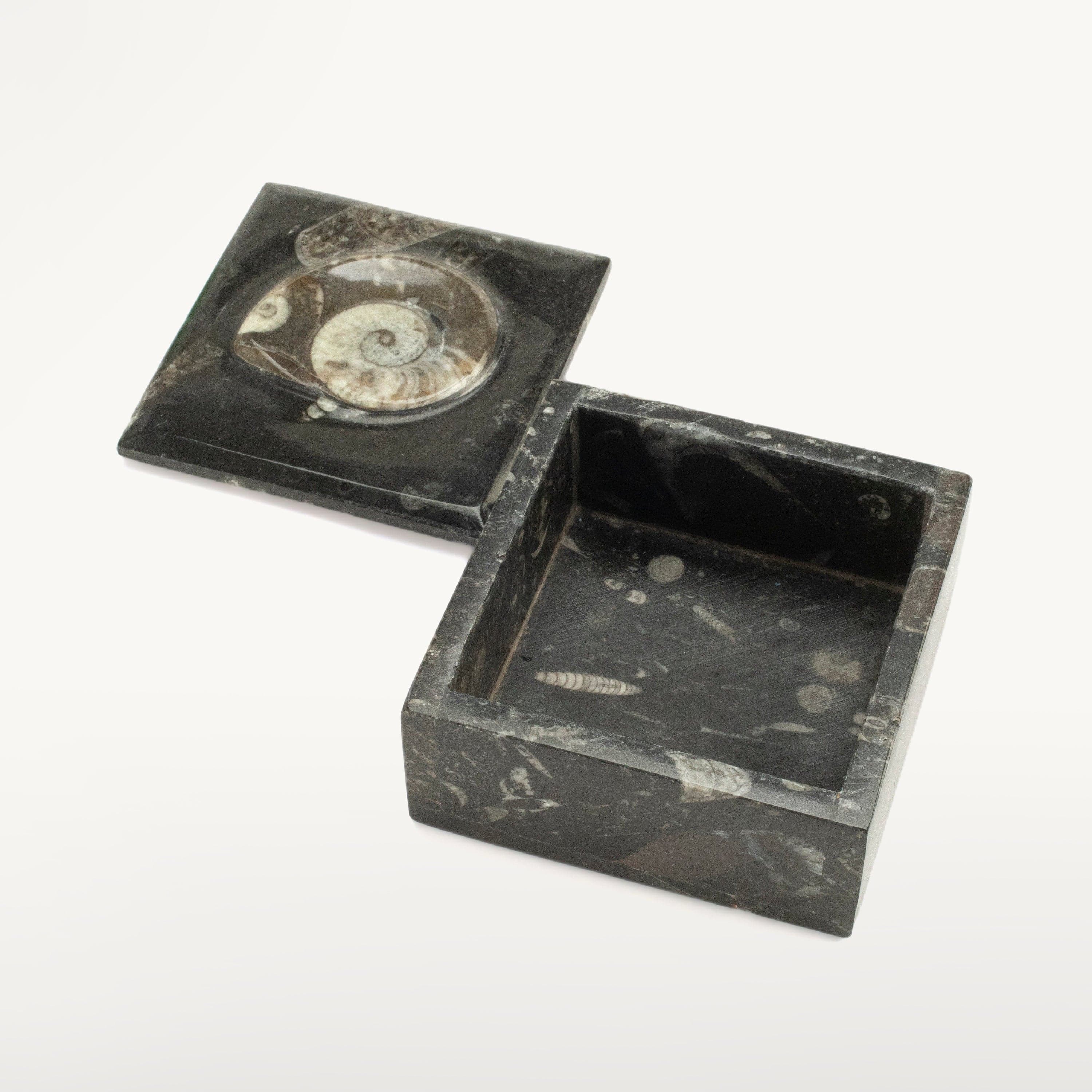 Kalifano Ammonites & Orthoceras Natural Ammonite Vanity Box from Morocco - Square & Black SVA-AMM-BK1