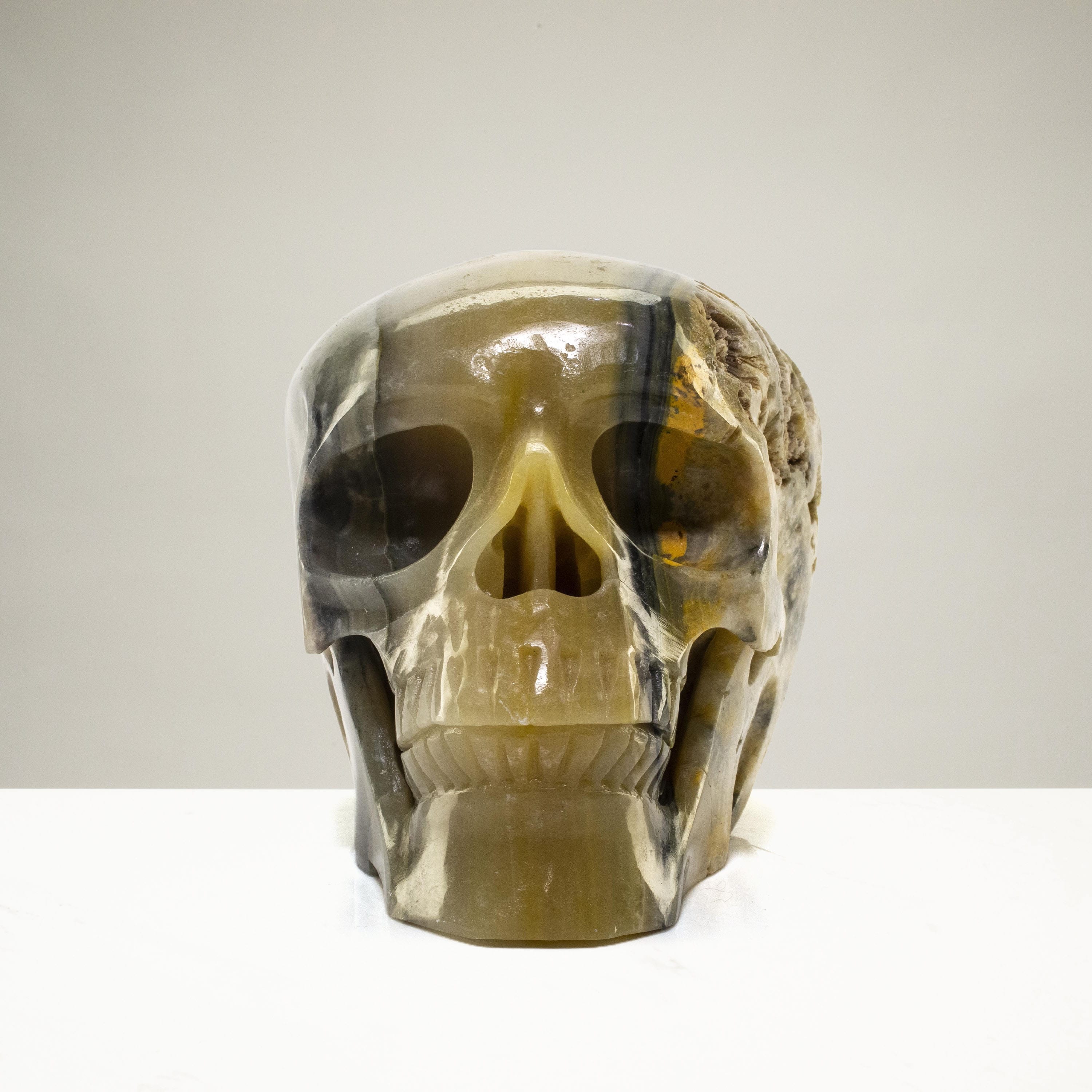 Kalifano Bumblebee Jasper Eclipse Jasper Skull Carving 6" / 2,480g SK6000-BB.001